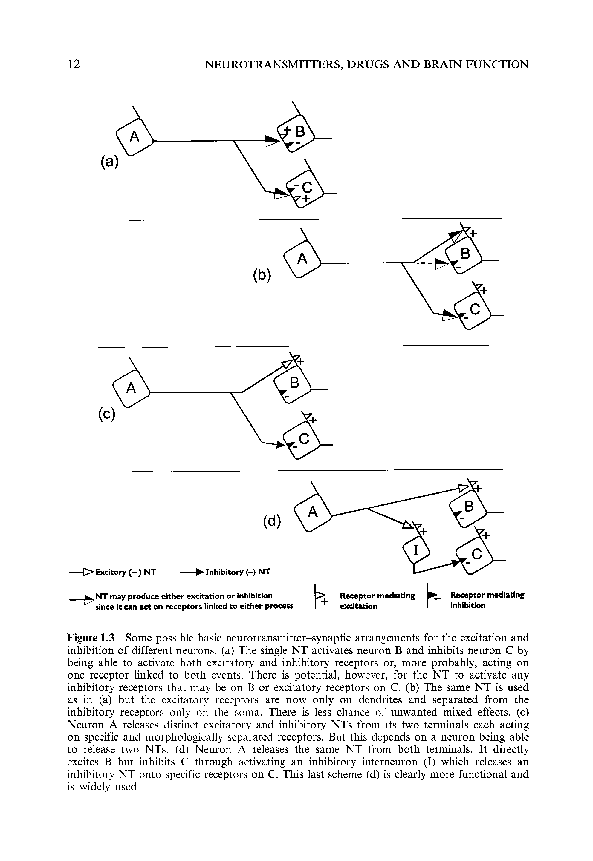 Figure 1.3 Some possible basic neurotransmitter-synaptic arrangements for the excitation and inhibition of different neurons, (a) The single NT activates neuron B and inhibits neuron C by being able to activate both excitatory and inhibitory receptors or, more probably, acting on one receptor linked to both events. There is potential, however, for the NT to activate any inhibitory receptors that may be on B or excitatory receptors on C. (b) The same NT is used as in (a) but the excitatory receptors are now only on dendrites and separated from the inhibitory receptors only on the soma. There is less chance of unwanted mixed effects, (c) Neuron A releases distinct excitatory and inhibitory NTs from its two terminals each acting on specific and morphologically separated receptors. But this depends on a neuron being able to release two NTs. (d) Neuron A releases the same NT from both terminals. It directly excites B but inhibits C through activating an inhibitory interneuron (I) which releases an inhibitory NT onto specific receptors on C. This last scheme (d) is clearly more functional and is widely used...