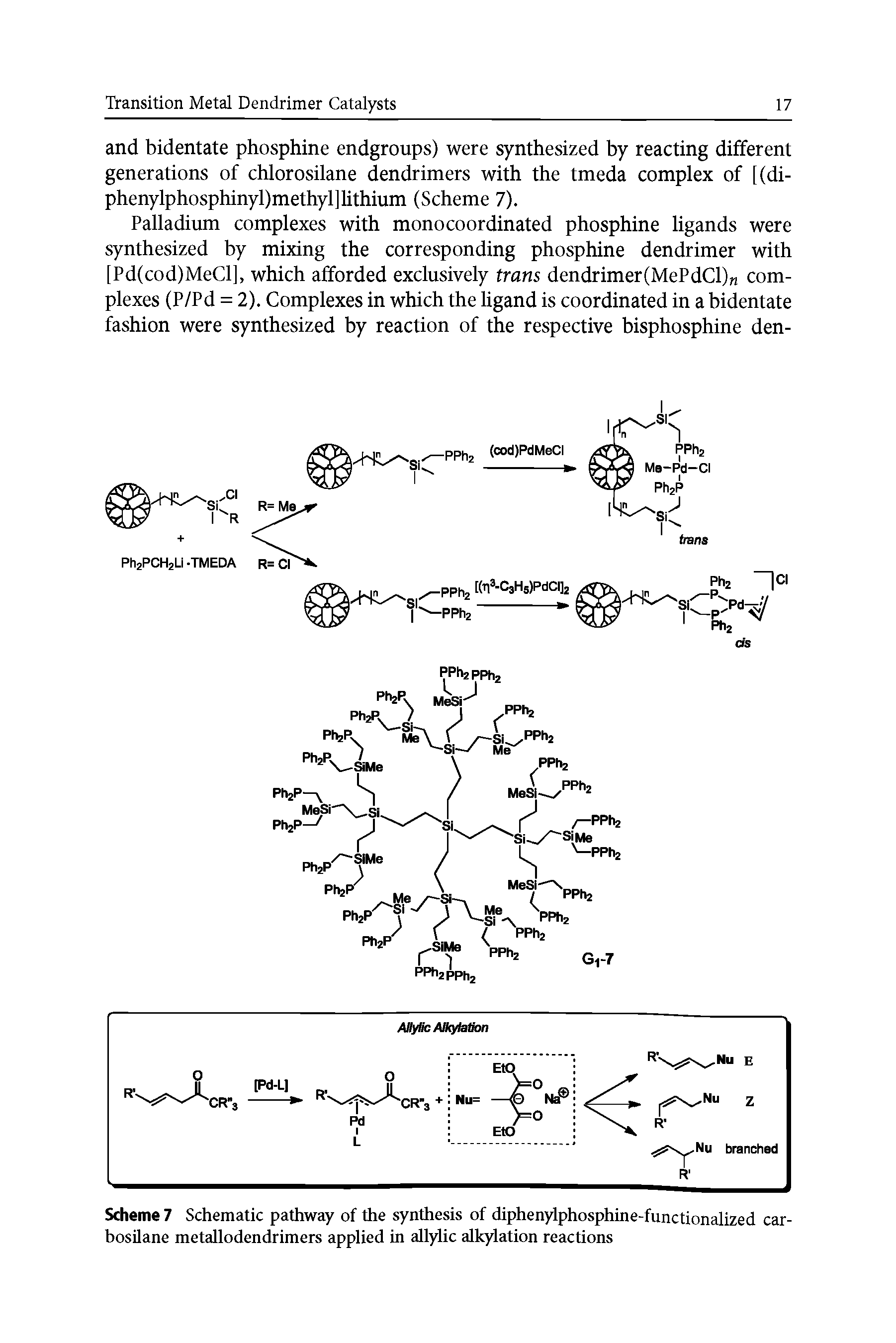 Scheme 7 Schematic pathway of the synthesis of diphenylphosphine-functionalized car-bosilane metallodendrimers applied in allylic alkylation reactions...