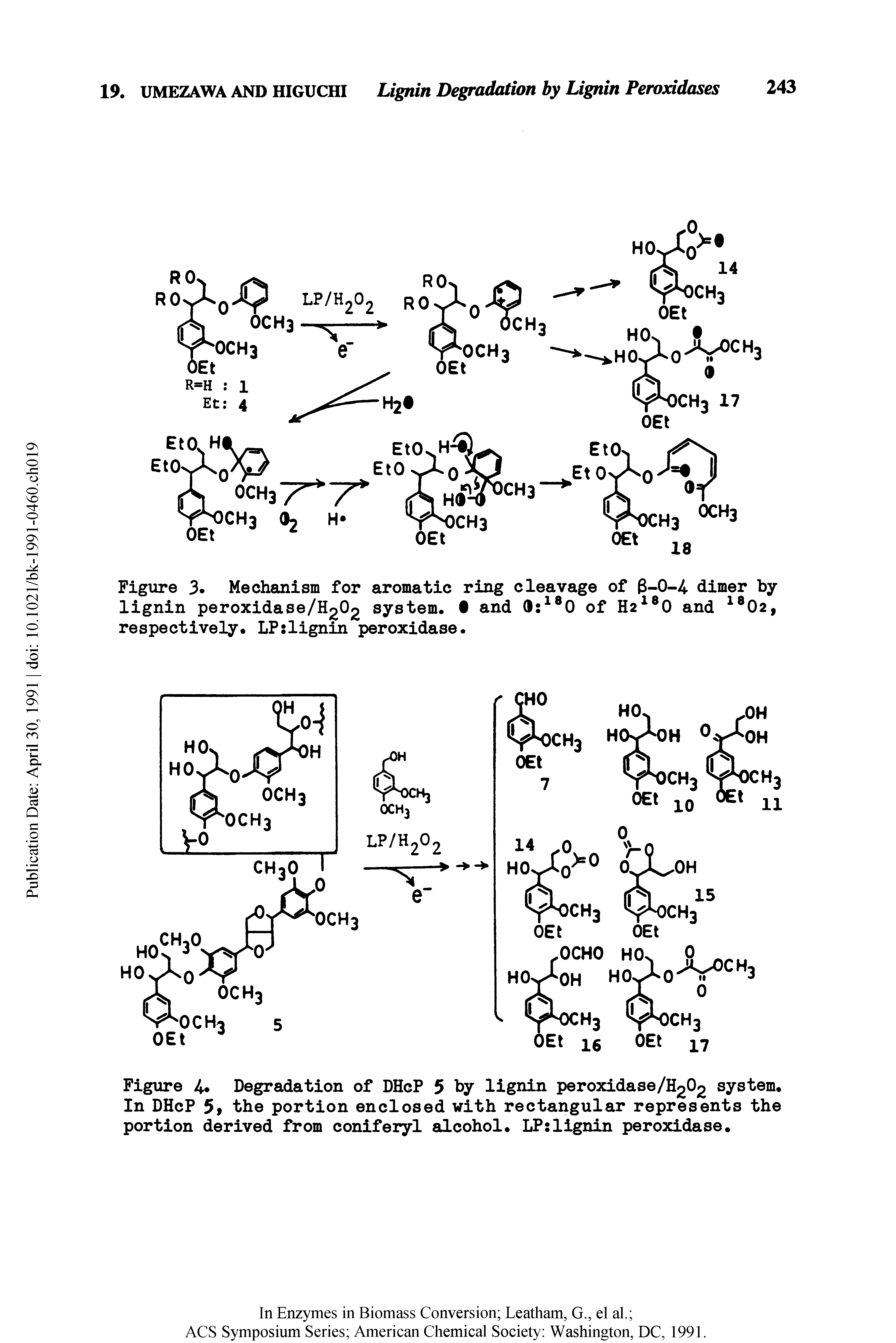 Figure 3. Mechanism for aromatic ring cleavage of 3-0-4 dimer by-lignin peroxidase/H202 system. and 0 0 of H2 0 and 02, respectively. LP lignin peroxidase.