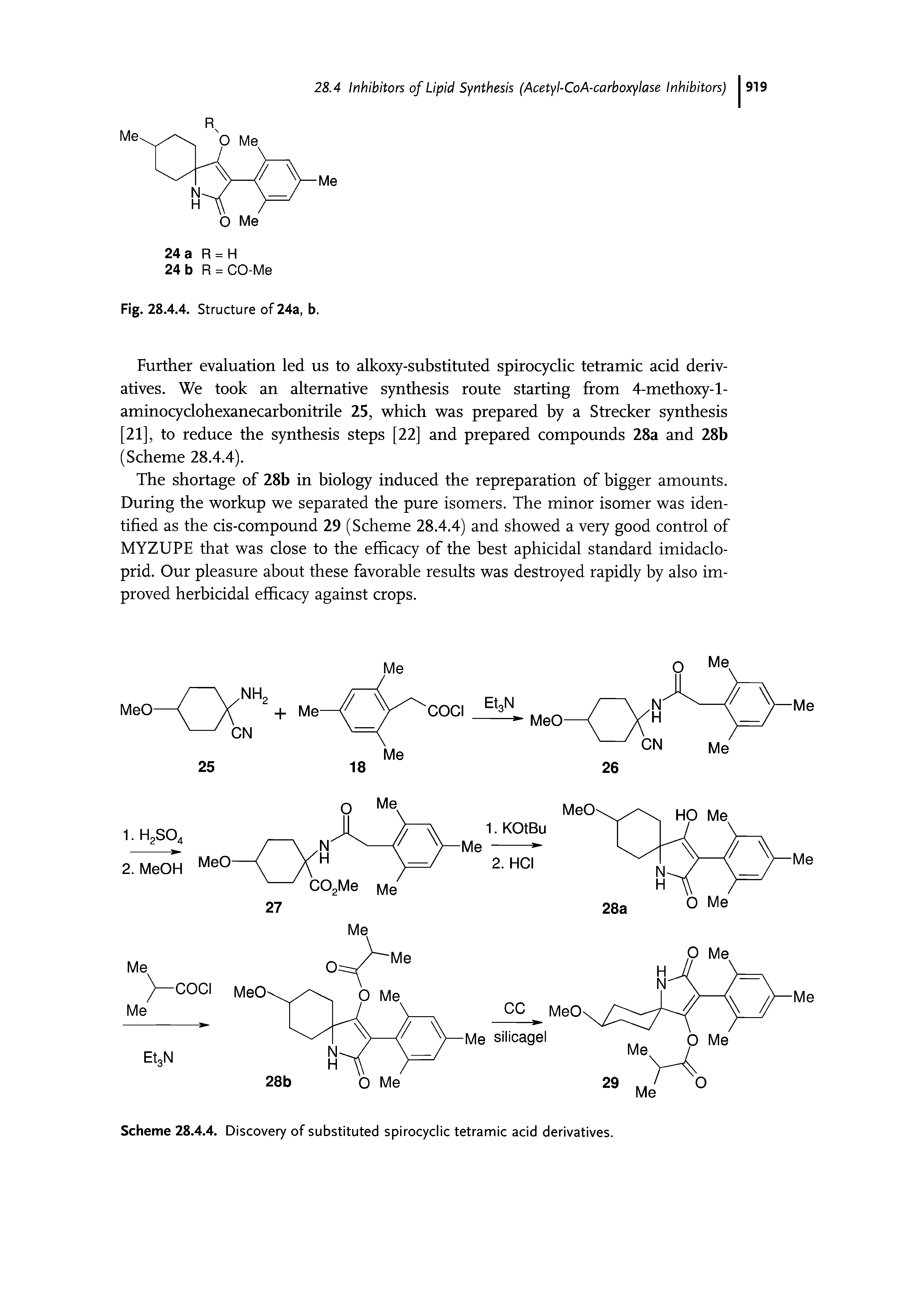 Scheme 28.4.4. Discovery of substituted spirocyclic tetramic acid derivatives.