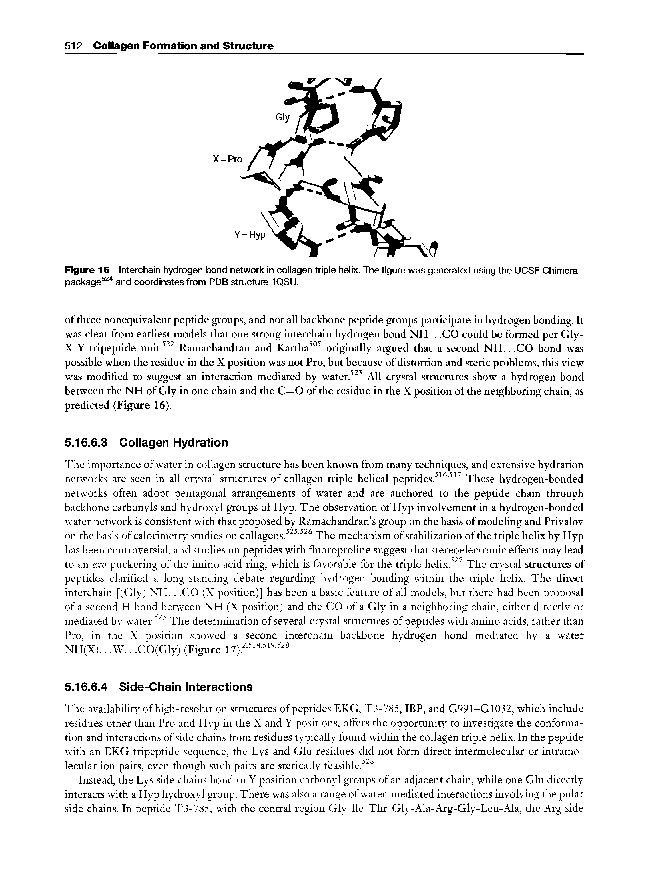 Figure 16 Interchain hydrogen bond network in collagen triple helix. The figure was generated using the UCSF Chimera package and coordinates from PDB structure 1QSU.