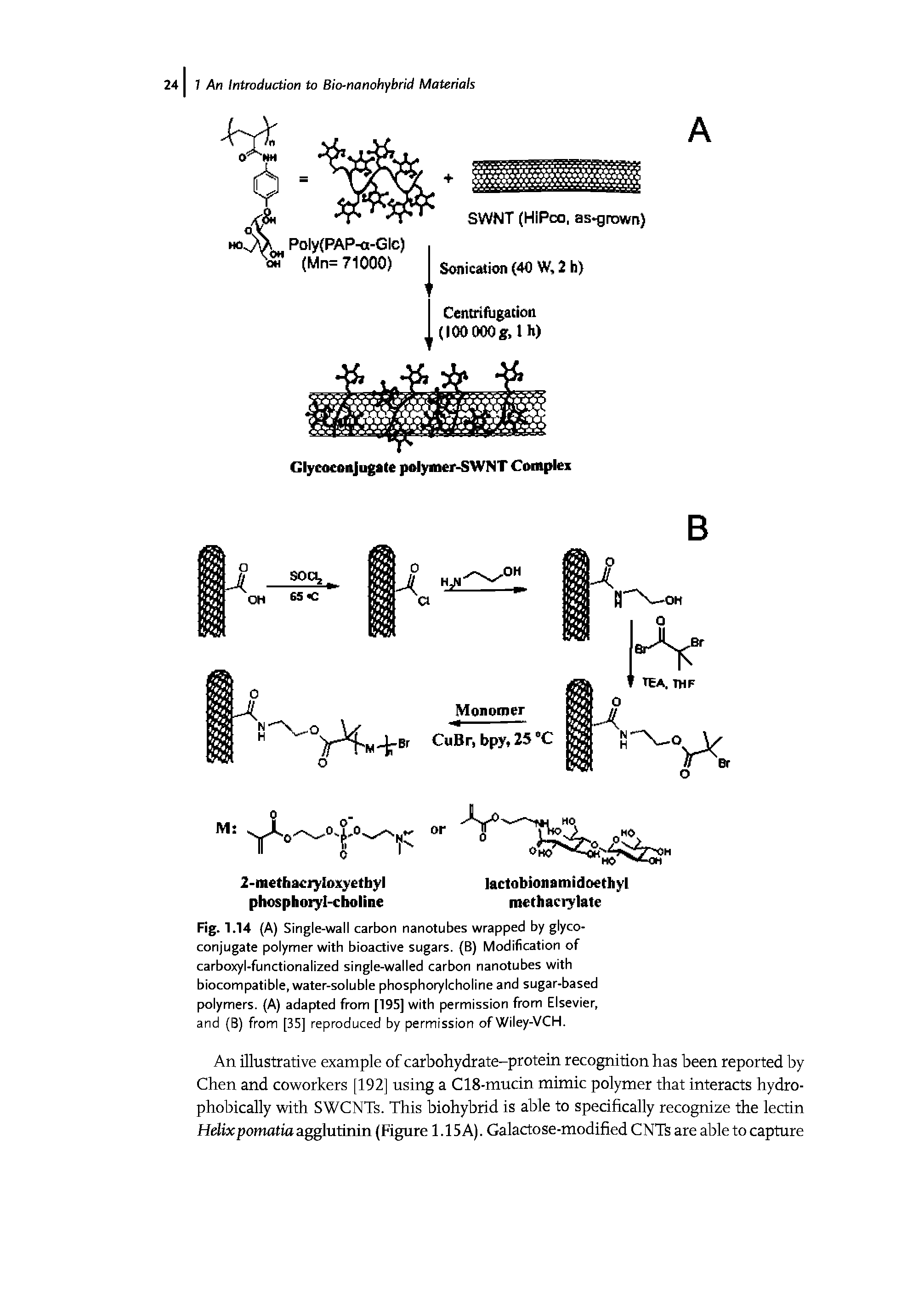 Fig. 1.14 (A) Single-wall carbon nanotubes wrapped by glyco-conjugate polymer with bioactive sugars. (B) Modification of carboxyl-functionalized single-walled carbon nanotubes with biocompatible, water-soluble phosphorylcholine and sugar-based polymers. (A) adapted from [195] with permission from Elsevier, and (B) from [35] reproduced by permission of Wiley-VCH.