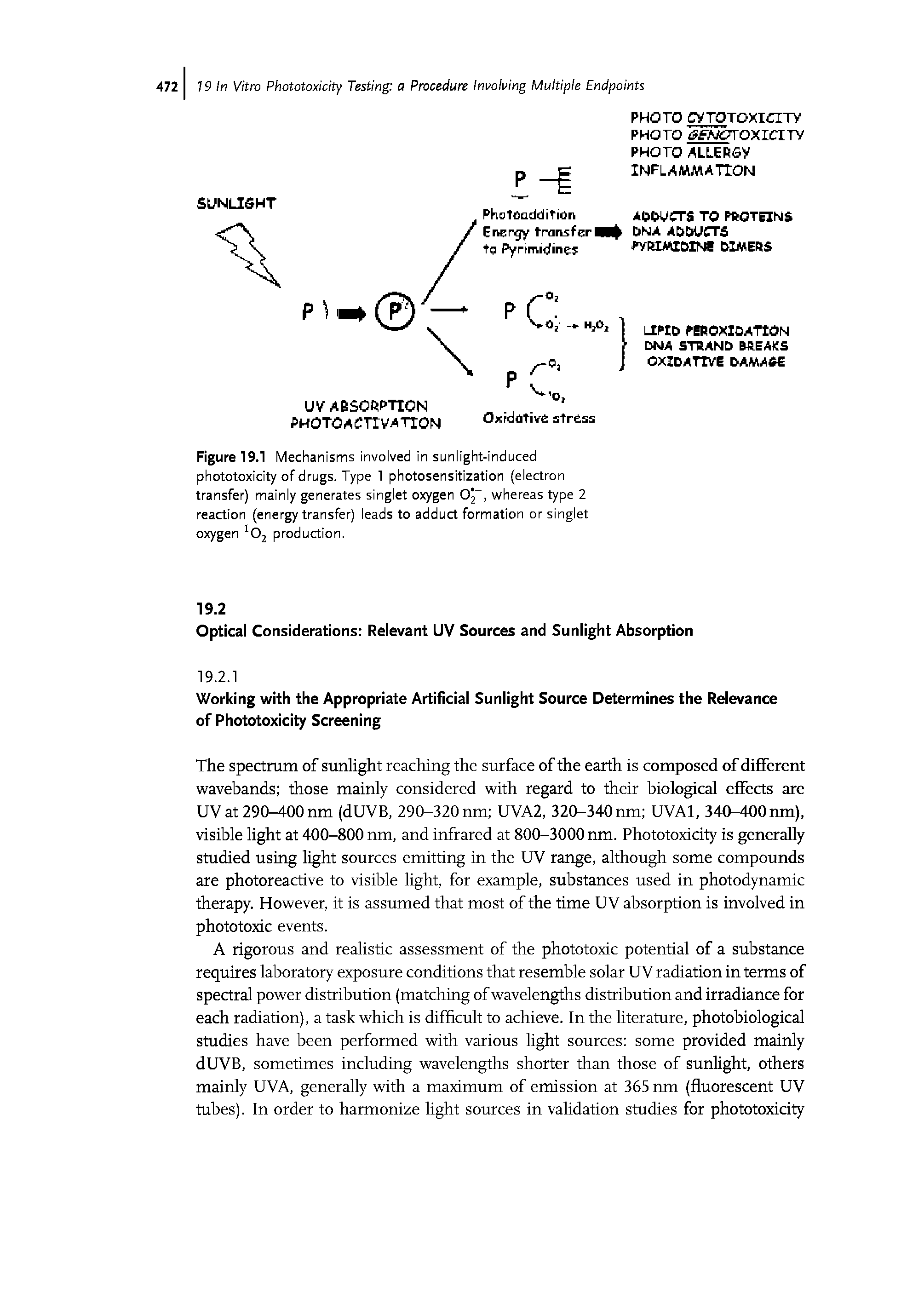 Figure 19.1 Mechanisms involved in sunlight-induced phototoxicity of drugs. Type 1 photosensitization (electron transfer) mainly generates singlet oxygen Oj", whereas type 2 reaction (energy transfer) leads to adduct formation or singlet oxygen...