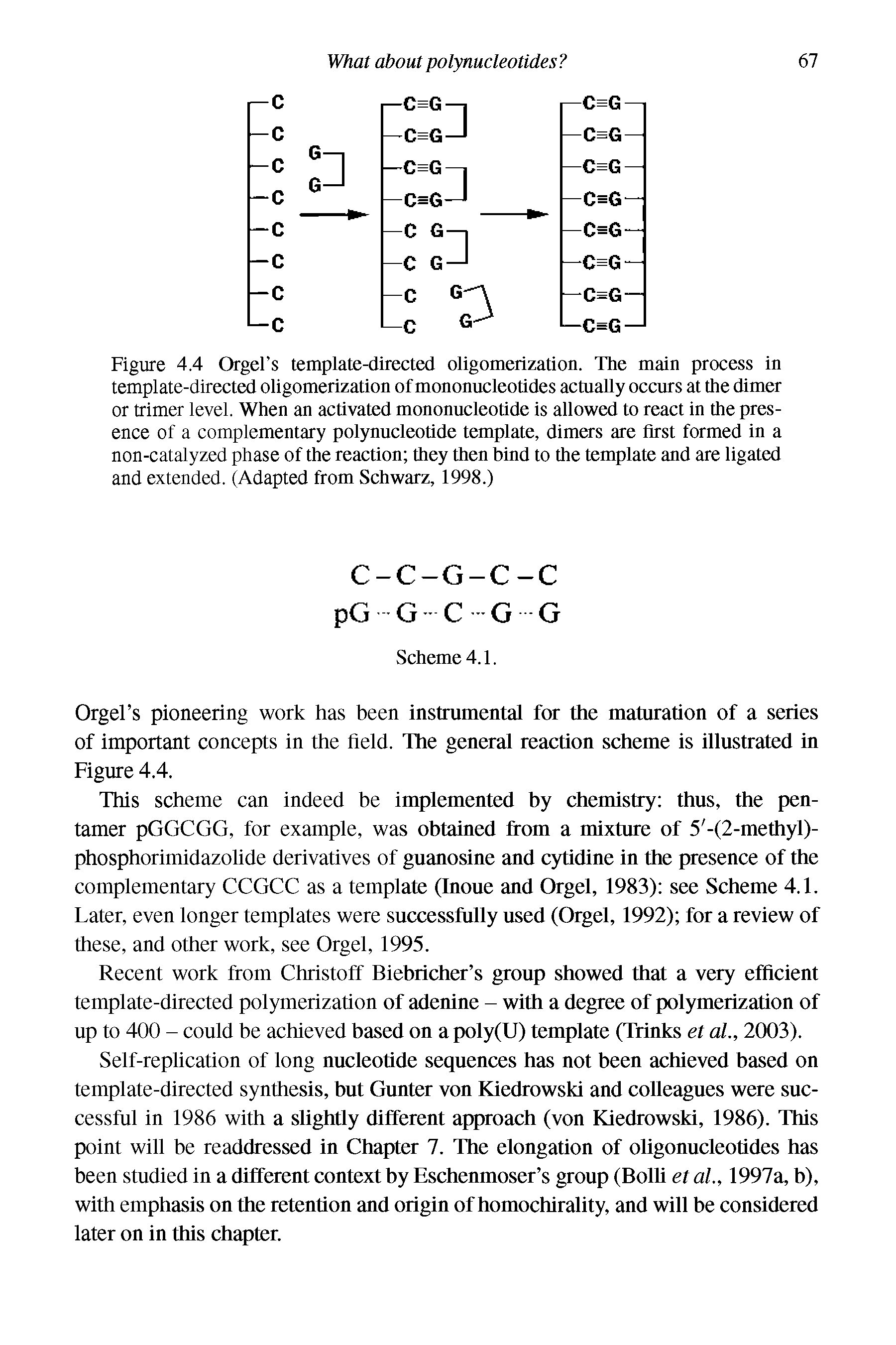 Figure 4.4 OrgeFs template-directed oligomerization. The main process in template-directed oligomerization of mononucleotides acmally occurs at the dimer or trimer level. When an activated mononucleotide is allowed to react in the presence of a complementary polynucleotide template, dimers are first formed in a non-catalyzed phase of the reaction they then bind to the template and are ligated and extended. (Adapted from Schwarz, 1998.)...