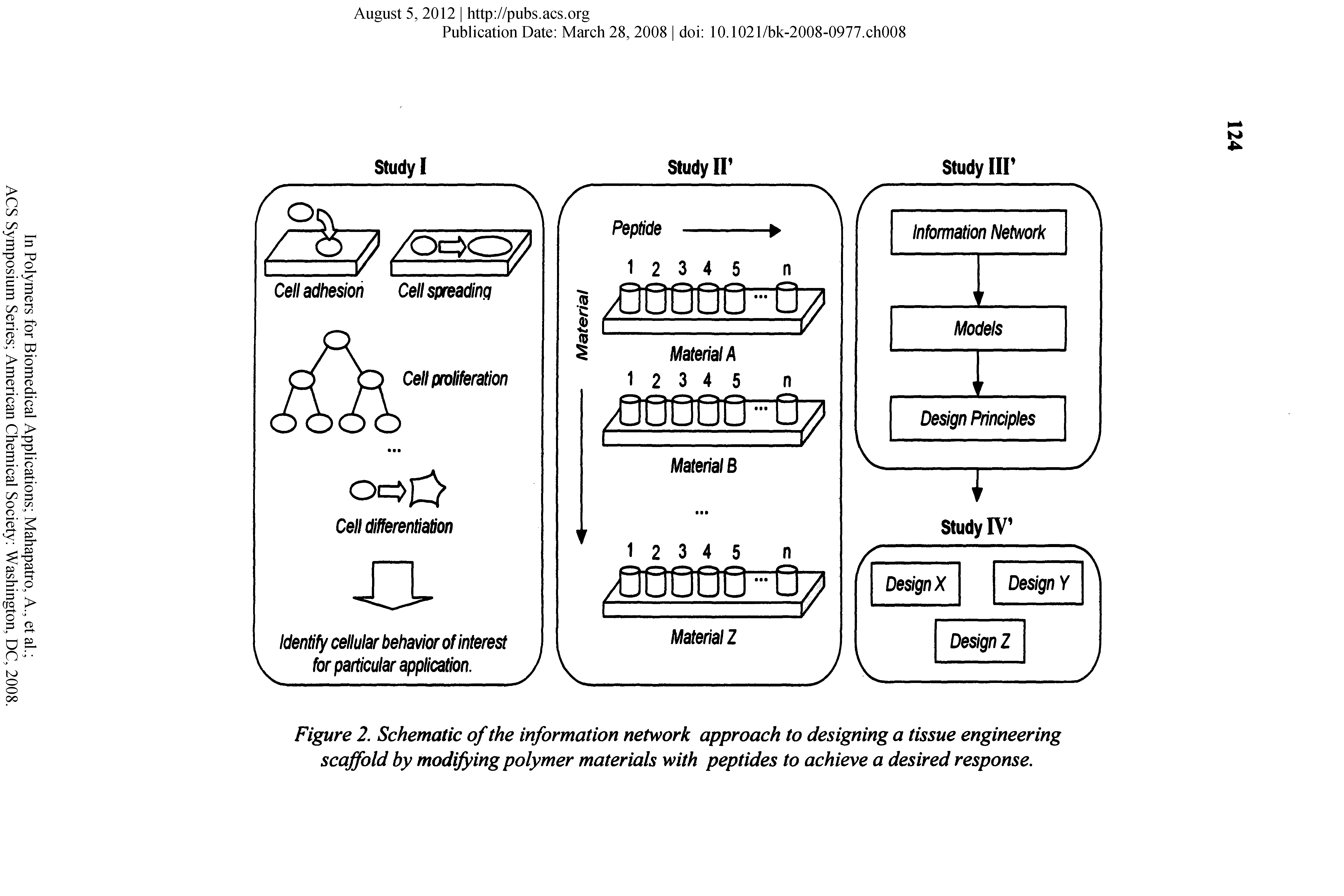 Figure 2. Schematic of the information network approach to designing a tissue engineering scaffold by modifying polymer materials with peptides to achieve a desired response.