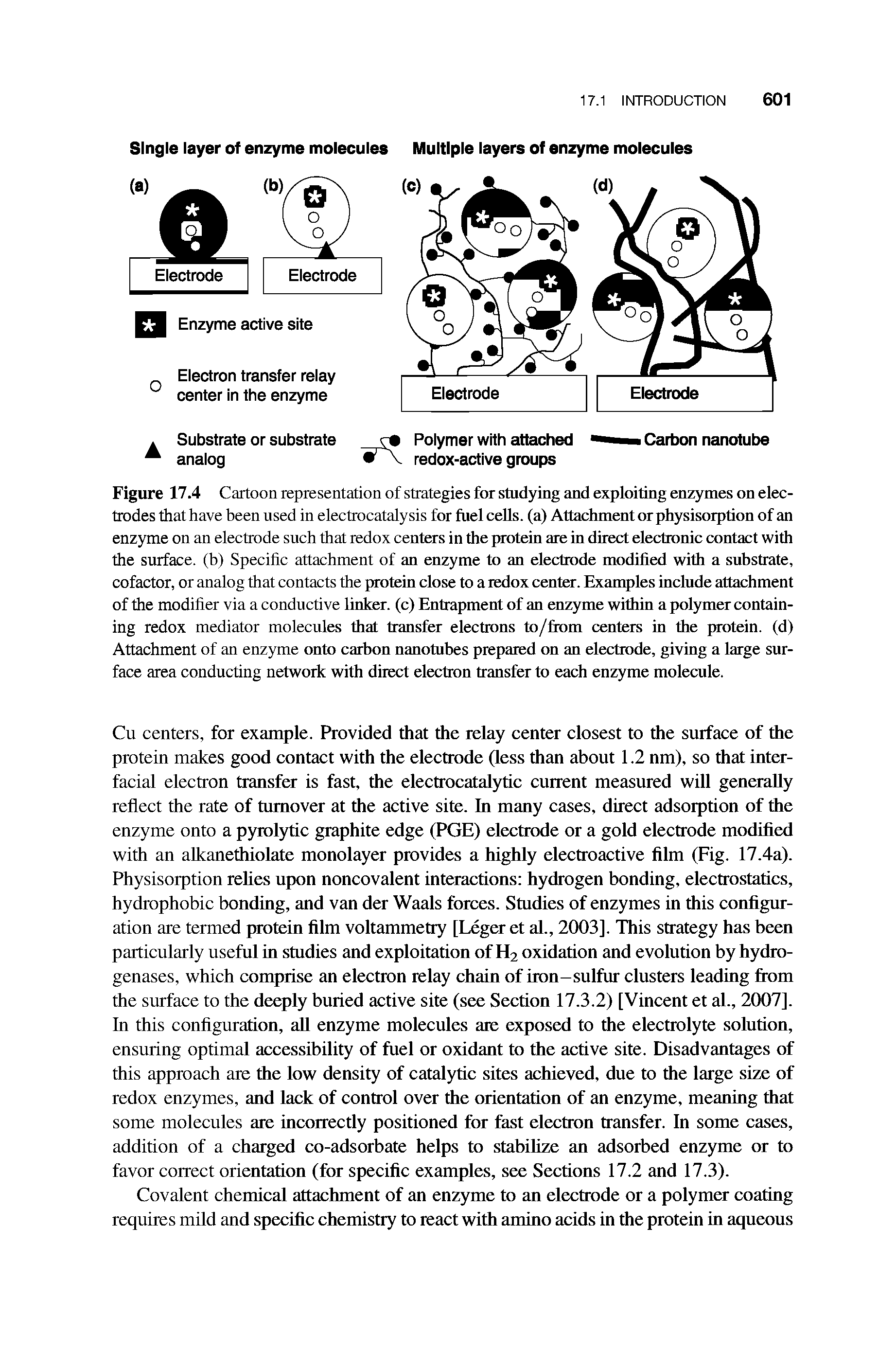 Figure 17.4 Cartoon representation of strategies for studying and exploiting enzymes on electrodes that have been used in electrocatalysis for fuel cells, (a) Attachment or physisorption of an enzyme on an electrode such that redox centers in the protein are in direct electronic contact with the surface, (b) Specific attachment of an enzyme to an electrode modified with a substrate, cofactor, or analog that contacts the protein close to a redox center. Examples include attachment of the modifier via a conductive linker, (c) Entrapment of an enzyme within a polymer containing redox mediator molecules that transfer electrons to/from centers in the protein, (d) Attachment of an enzyme onto carbon nanotubes prepared on an electrode, giving a large surface area conducting network with direct electron transfer to each enzyme molecule.