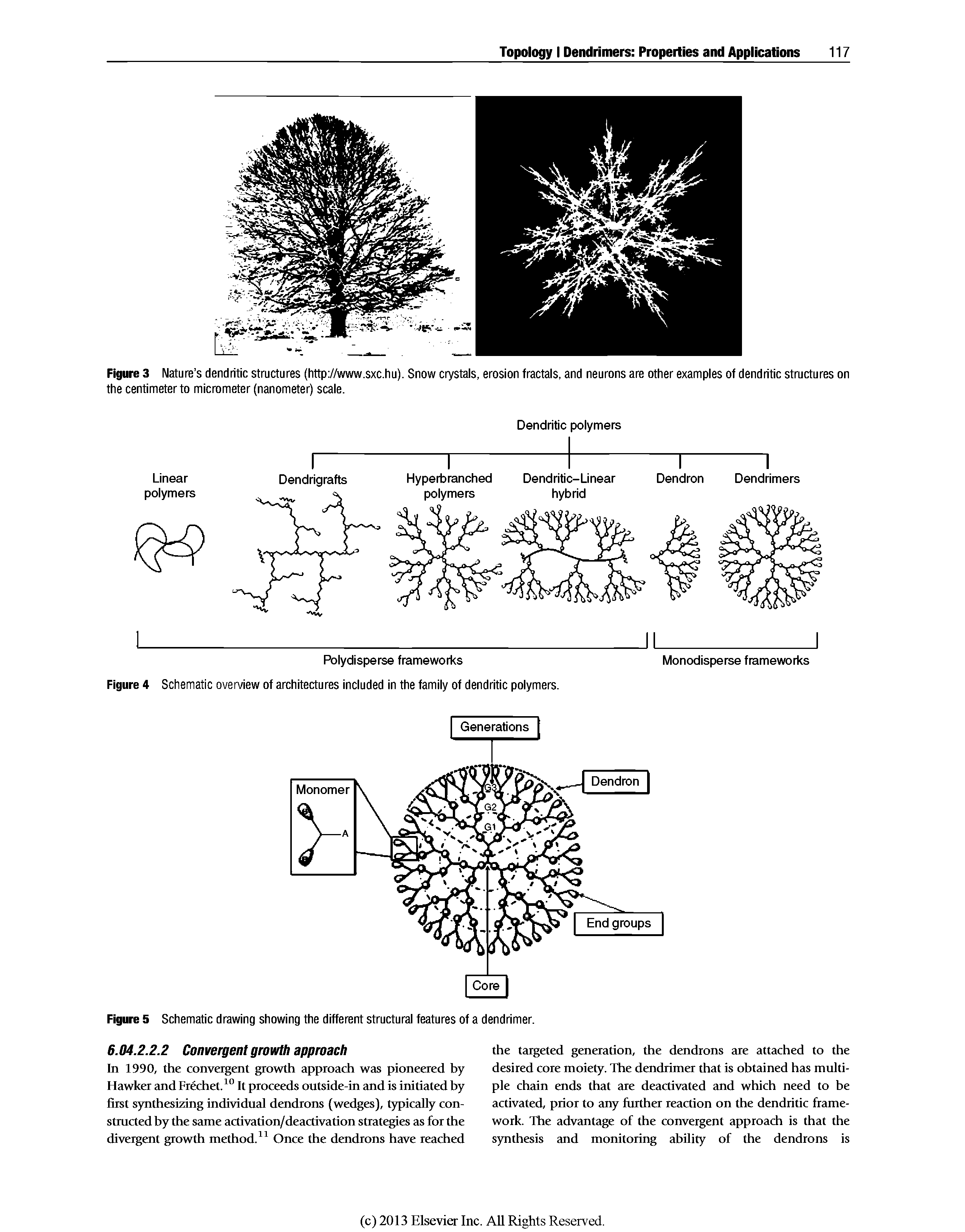Figure 3 Nature s dendritic structures (http //www.sxc.hu). Snow crystals, erosion fractals, and neurons are other examples of dendritic structures on the centimeter to micrometer (nanometer) scale.