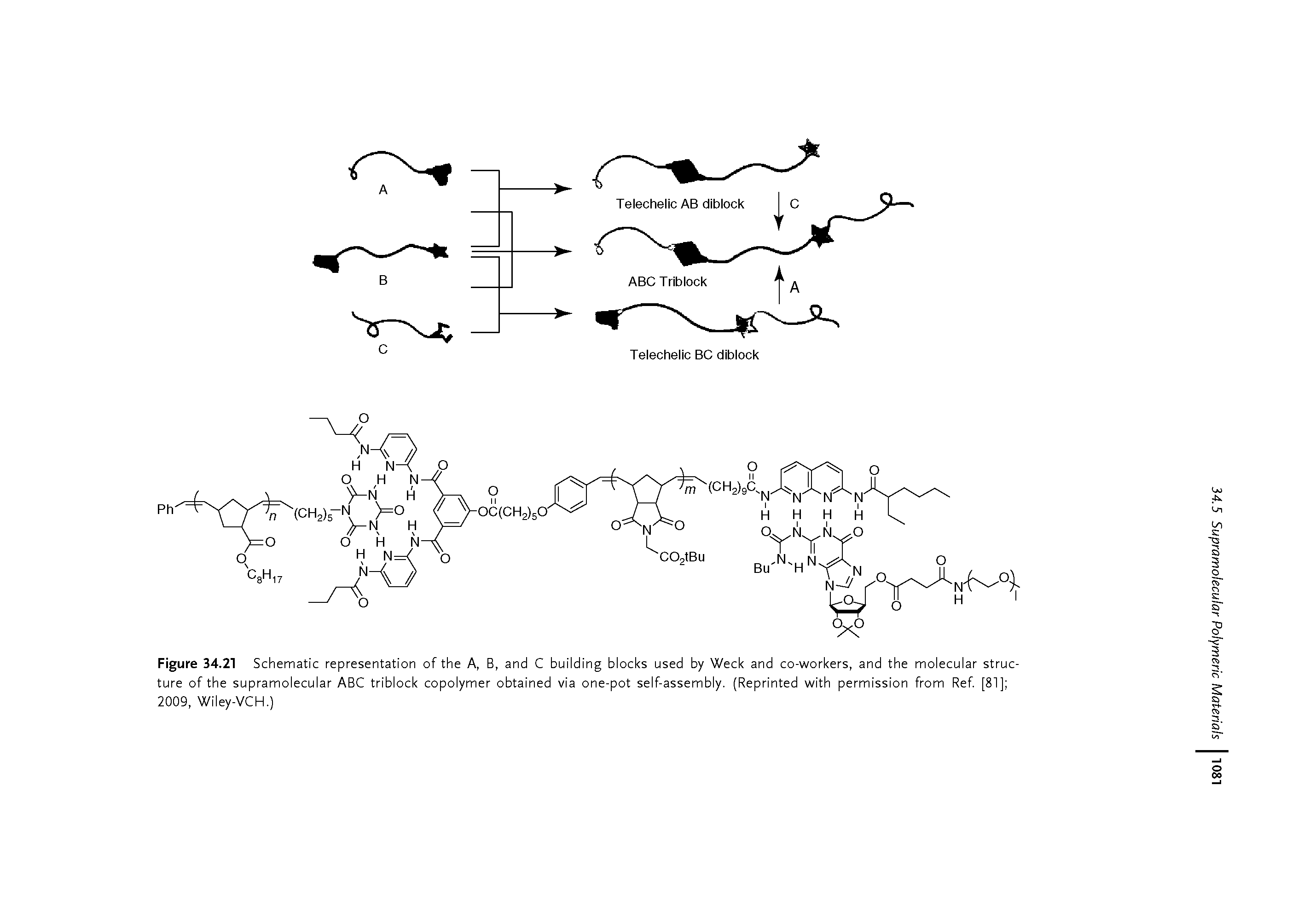 Figure 34.21 Schematic representation of the A, B, and C building blocks used by Week and co-workers, and the molecular structure of the supramolecular ABC triblock copolymer obtained via one-pot self-assembly. (Reprinted with permission from Ref [81] 2009, Wiley-VCH.)...
