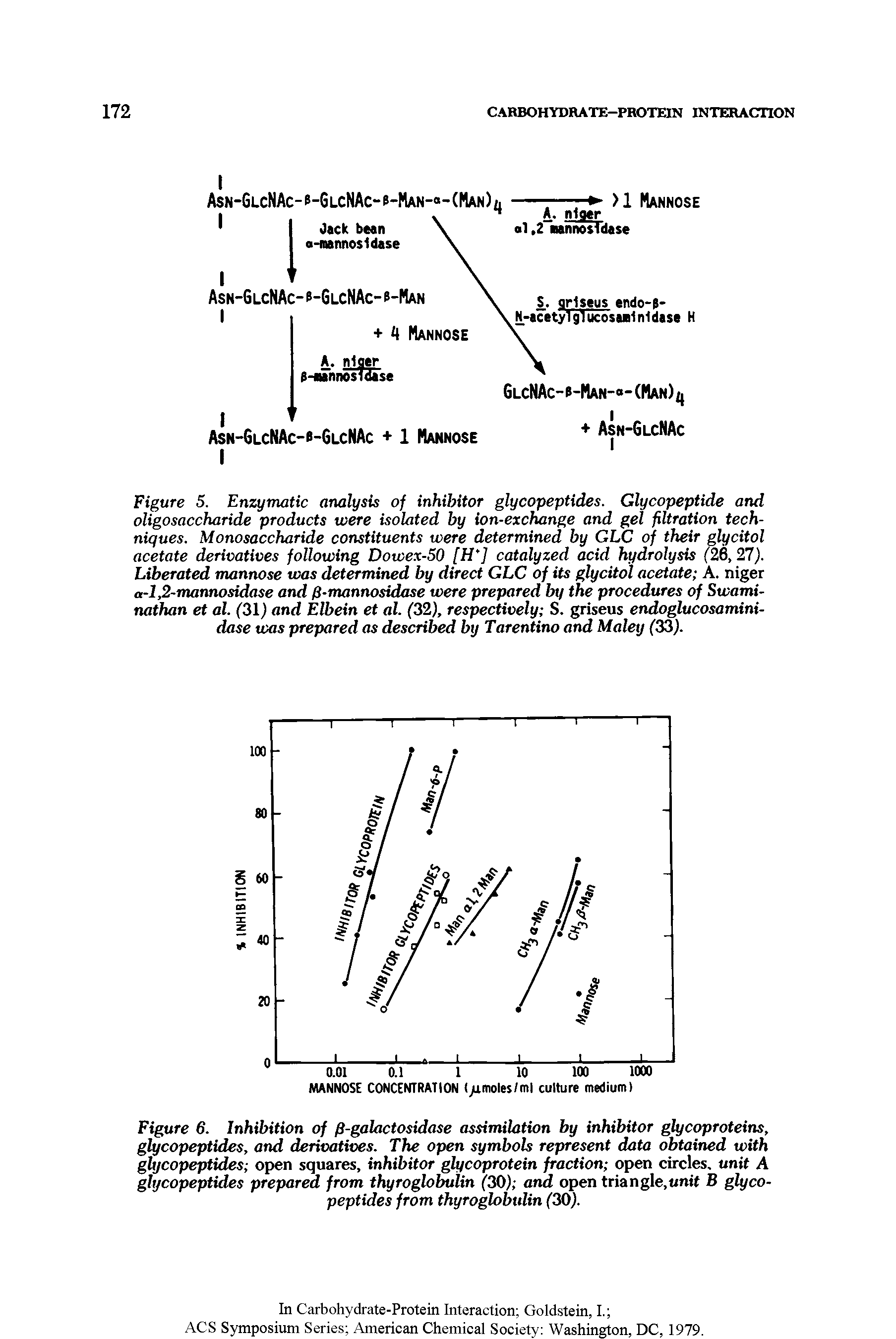 Figure S. Enzymatic analysis of inhibitor glycopeptides. Glycopeptide and oligosaccharide products were isolated by ion-exchange and gel filtration techniques. Monosaccharide constituents were determined by GLC of their glycitol acetate derivatives following Dowex-SO [H J catalyzed acid hydrolysis ("26, 27). Liberated mannose was determined by direct GLC of its glycitol acetate A. niger a-l,2-mannosidase and fl-mannosidase were prepared by the procedures of Swami-nathan et al. (31) and Elbein et al. (32), respectively S. griseus endoglucosamini-dase teas prepared as described by Tarentino and Maley (33).