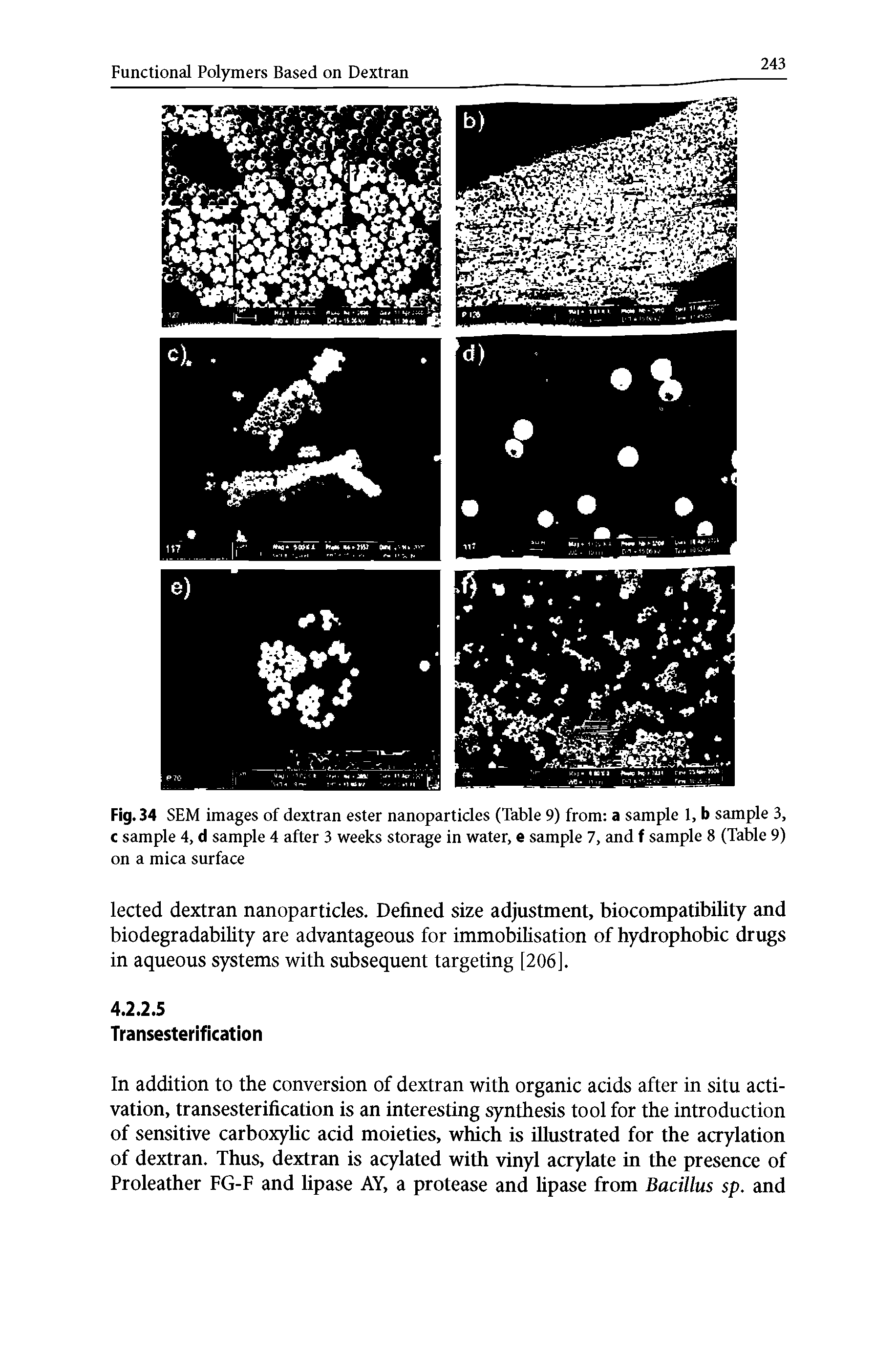Fig. 34 SEM images of dextran ester nanoparticles (Table 9) from a sample 1, b sample 3, c sample 4, d sample 4 after 3 weeks storage in water, e sample 7, and f sample 8 (Table 9) on a mica surface...