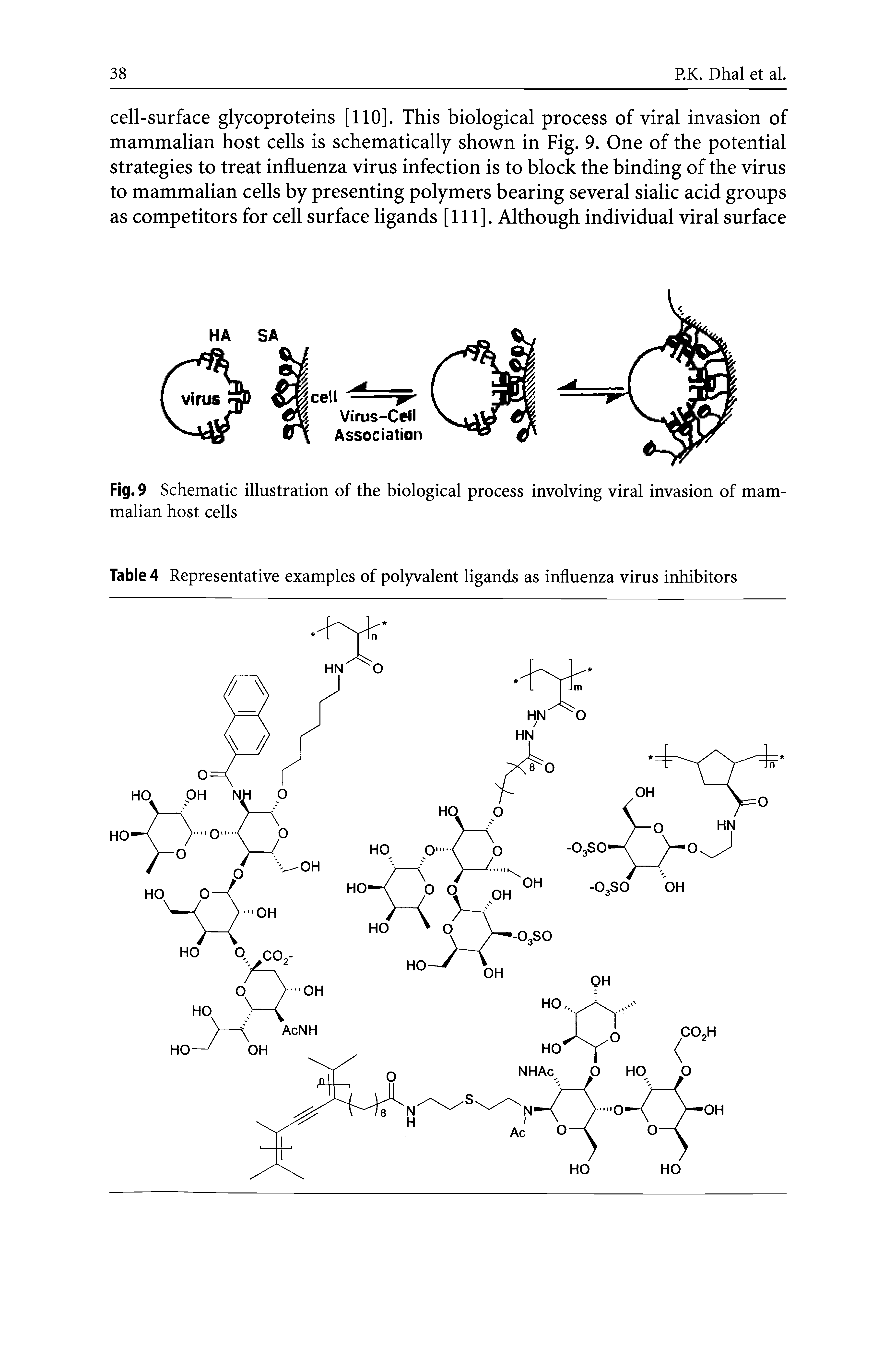 Table 4 Representative examples of polyvalent ligands as influenza virus inhibitors...