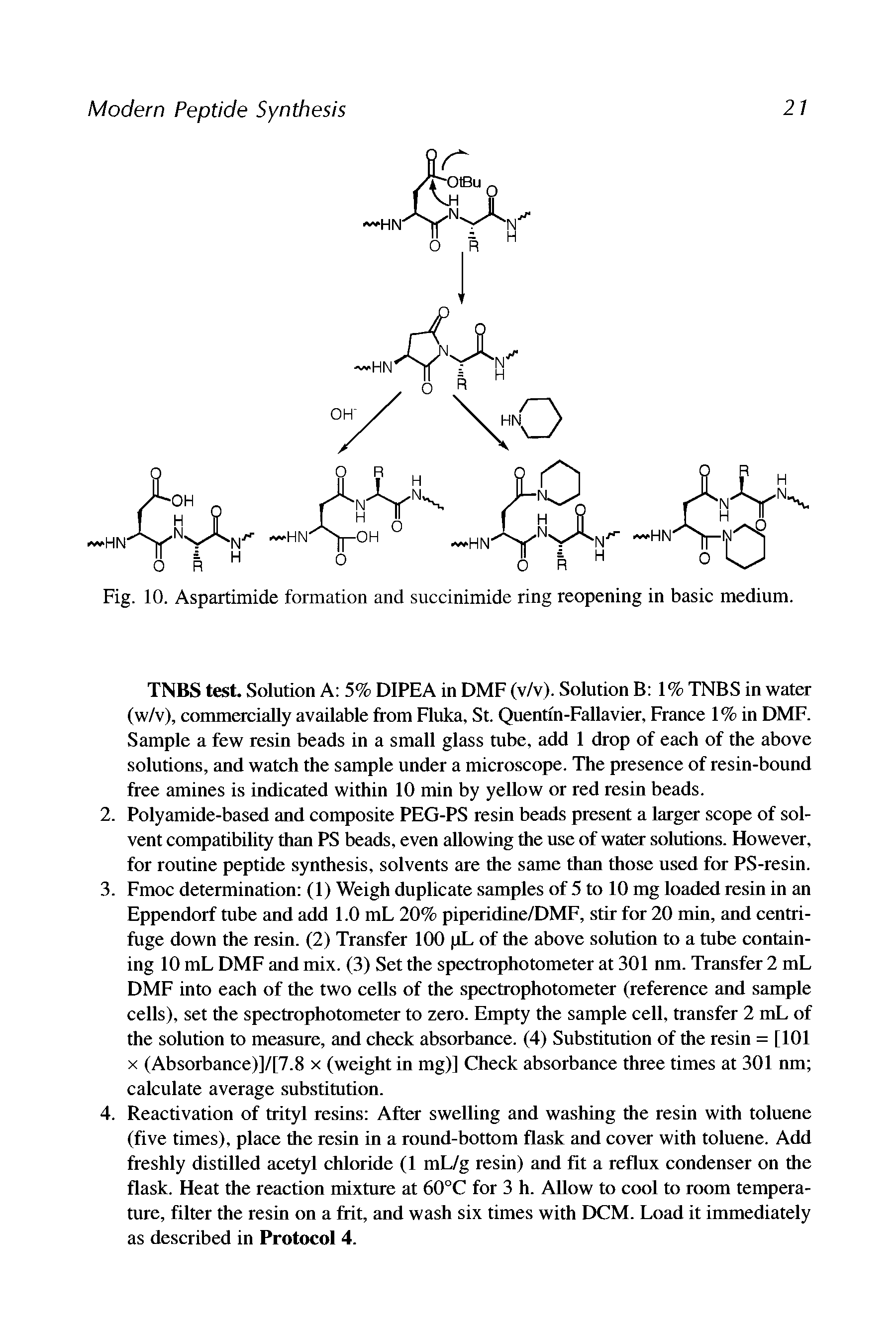 Fig. 10. Aspartimide formation and succinimide ring reopening in basic medium.