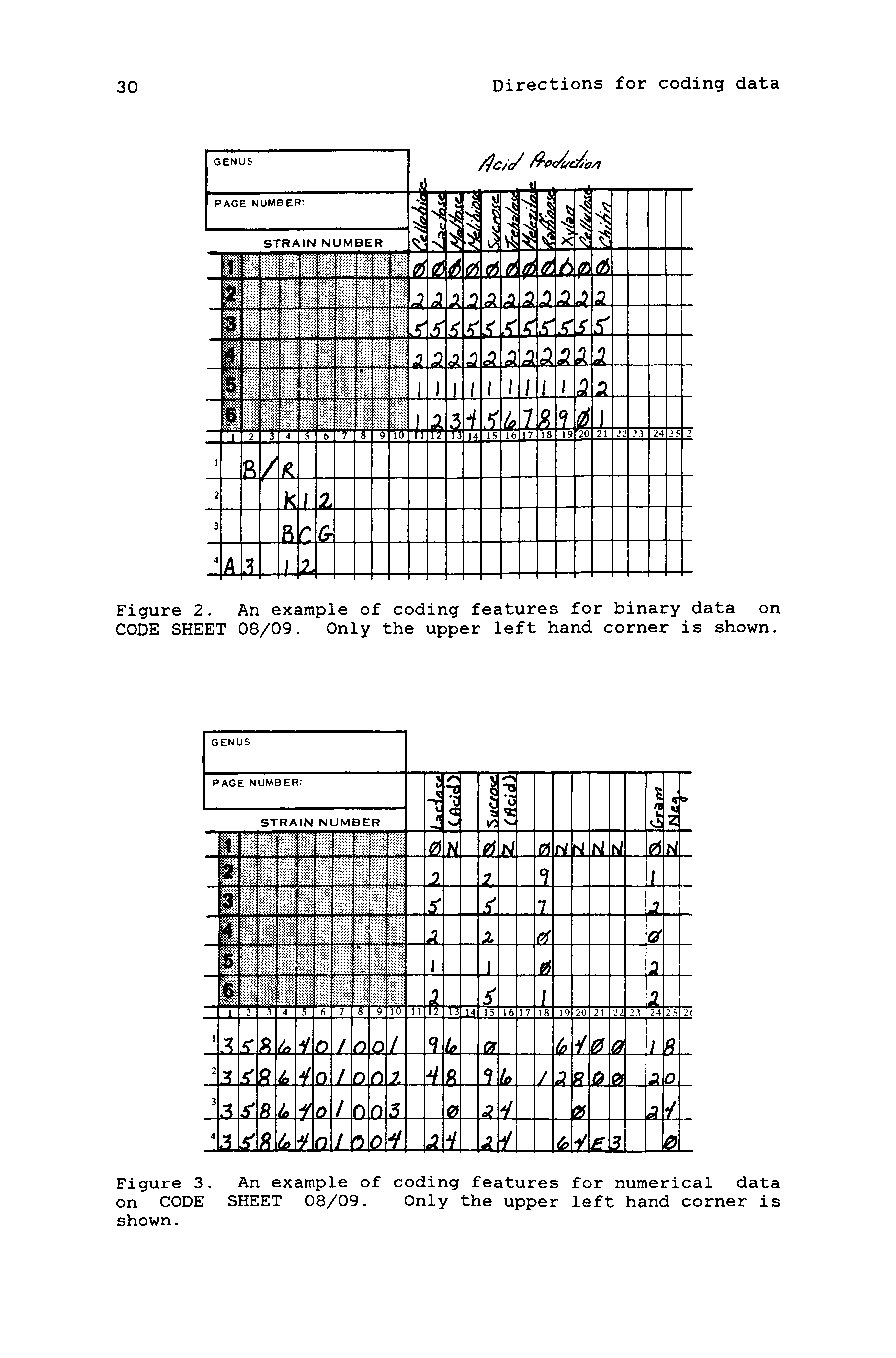 Figure 2. An example of coding features for binary data on CODE SHEET 08/09. Only the upper left hand corner is shown.