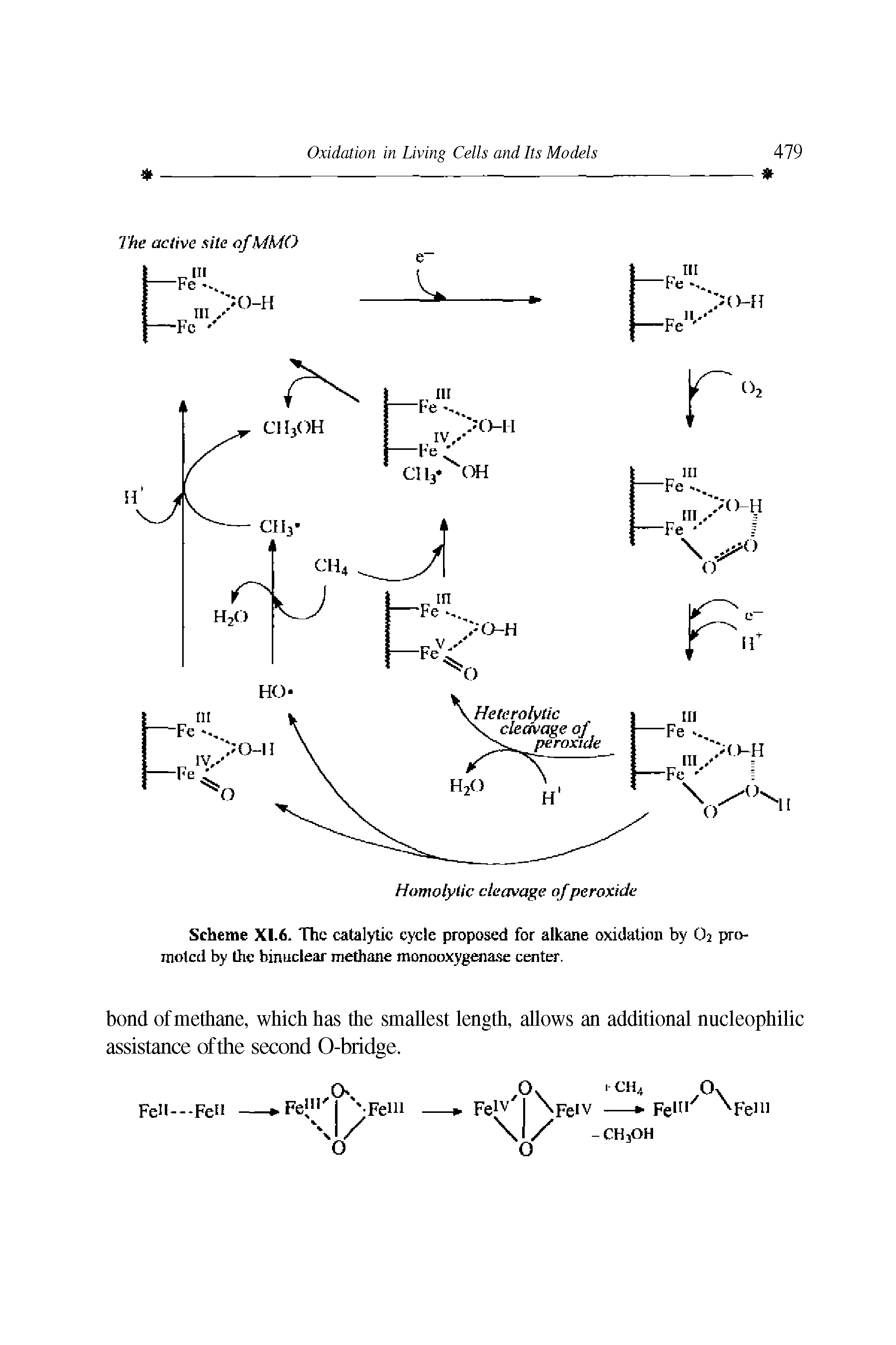 Scheme XI.6. The catalytic cycle proposed for alkane oxidation by Oi promoted by the binuclear methane monooxygenase center.
