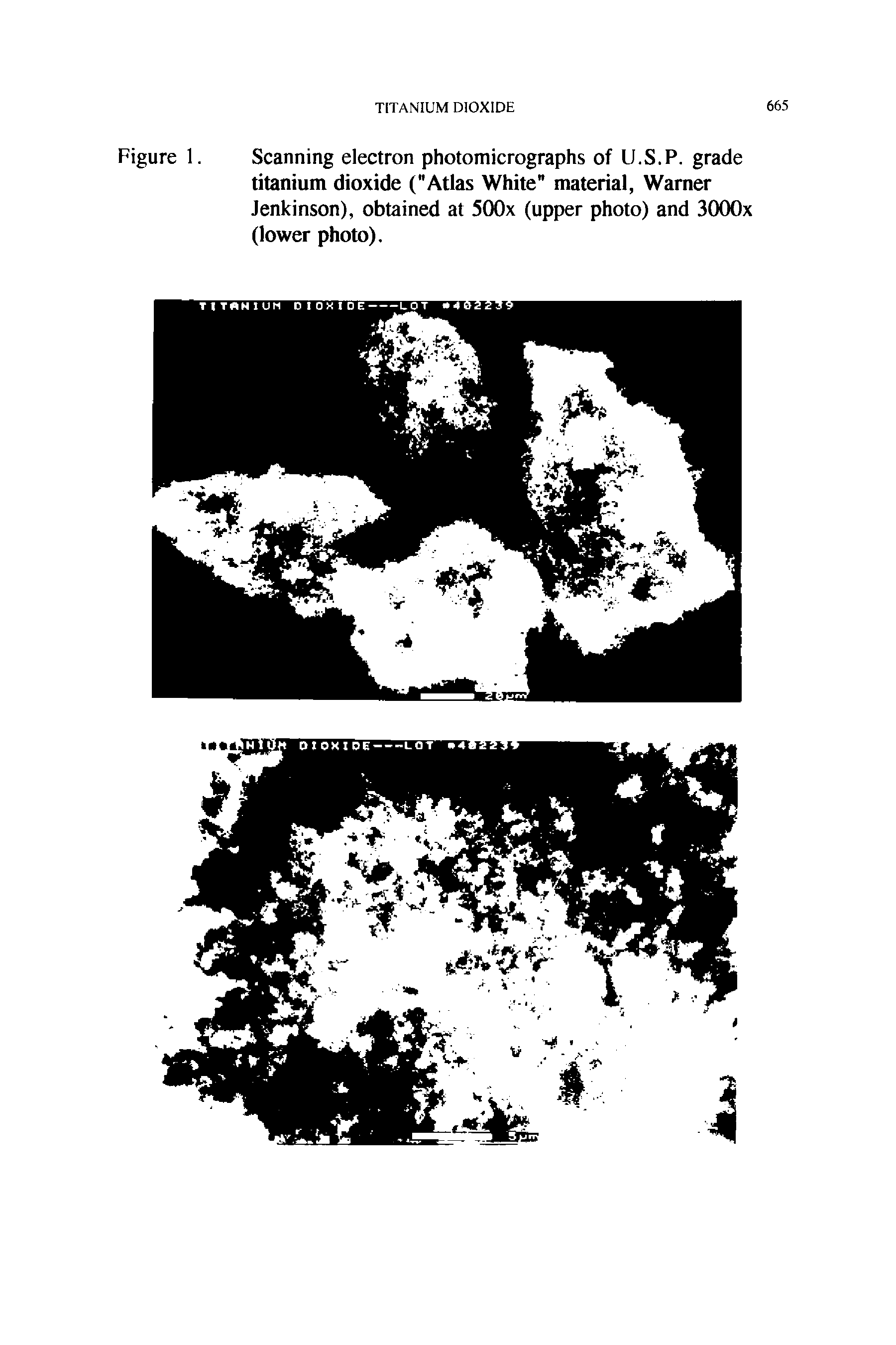 Figure 1. Scanning electron photomicrographs of U.S.P. grade titanium dioxide ("Atlas White" material, Warner Jenkinson), obtained at 5(X)x (upper photo) and 3000x (lower photo).