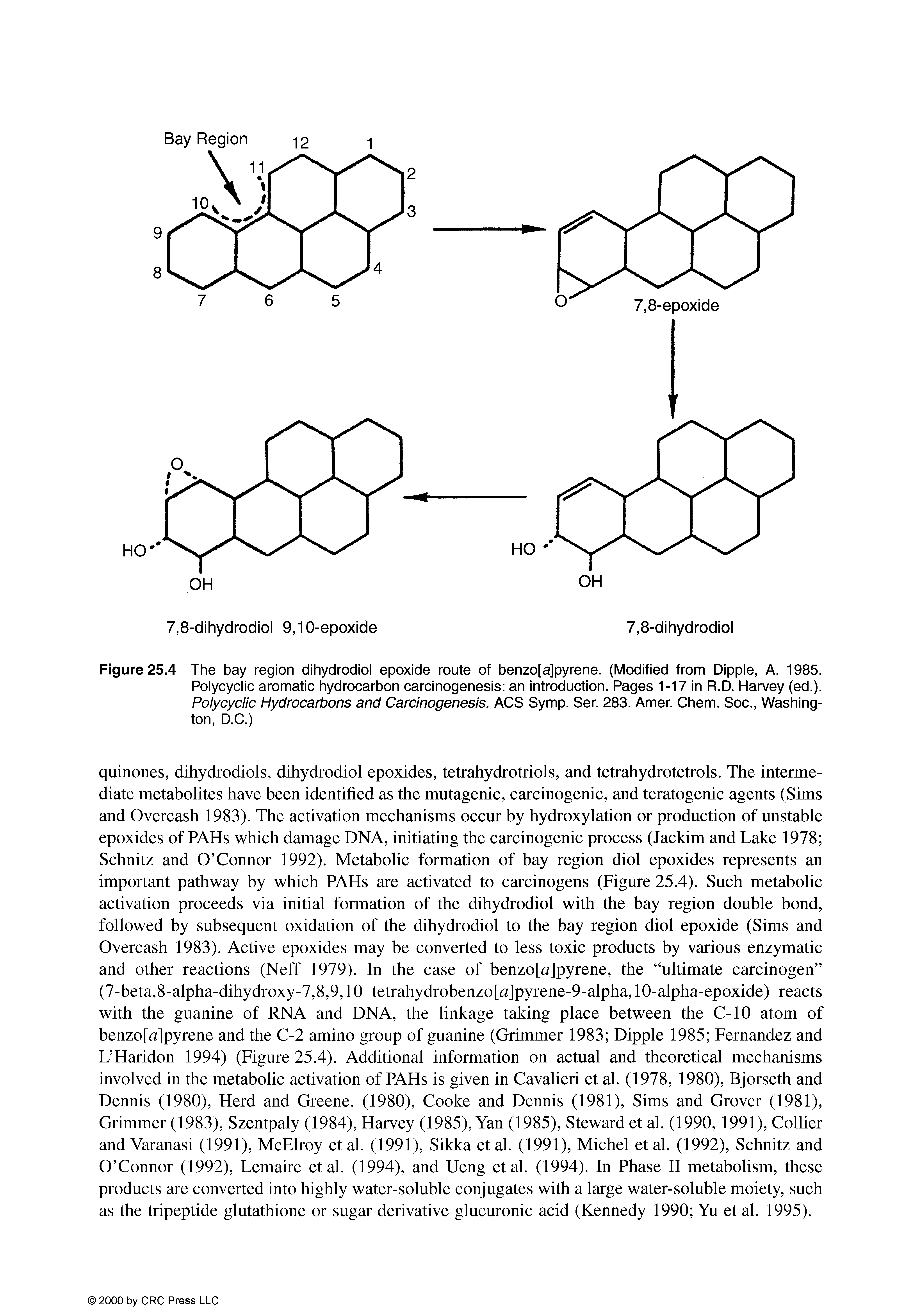 Figure 25.4 The bay region dihydrodiol epoxide route of benzo[a]pyrene. (Modified from Dipple, A. 1985.