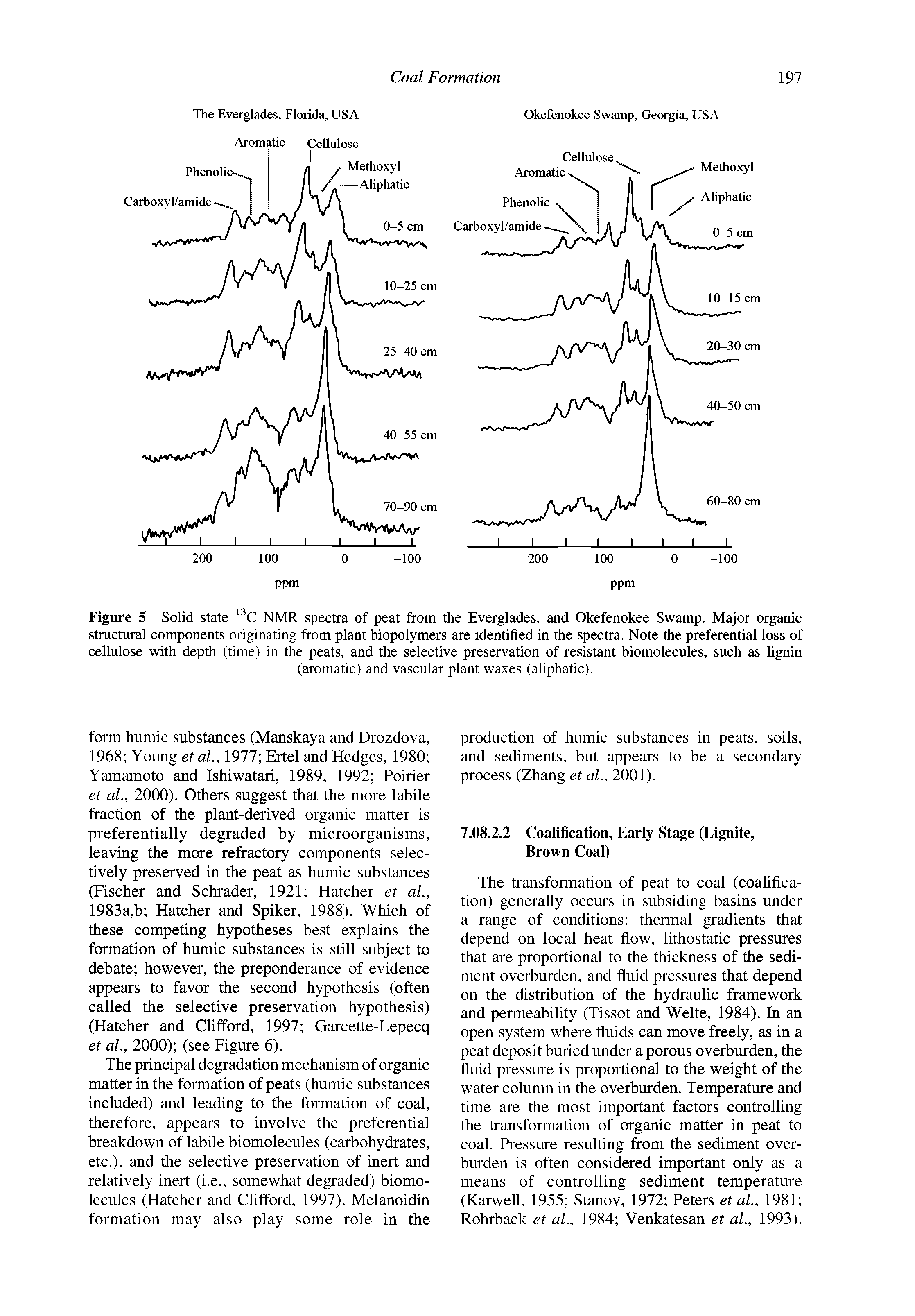 Figure 5 Solid state NMR spectra of peat from the Everglades, and Okefenokee Swamp. Major organic structural components originating from plant biopolymers are identified in the spectra. Note the preferential loss of cellulose with depth (time) in the peats, and the selective preservation of resistant biomolecules, such as hgnin...