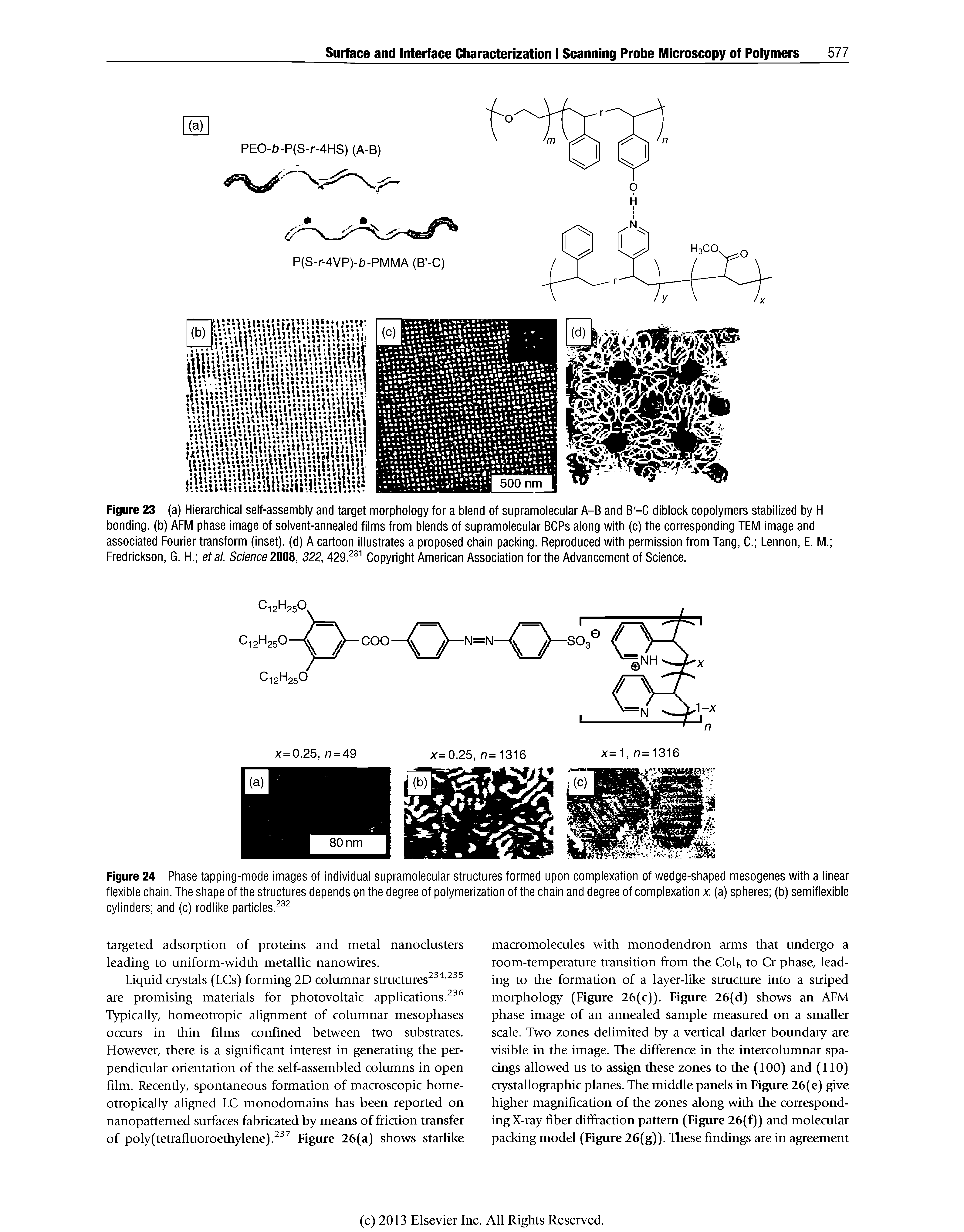 Figure 24 Phase tapping-mode images of individual supramolecular structures formed upon complexation of wedge-shaped mesogenes with a linear flexible chain. The shape of the structures depends on the degree of polymerization of the chain and degree of complexation x (a) spheres (b) semiflexible cylinders and (c) rodlike particles. ...