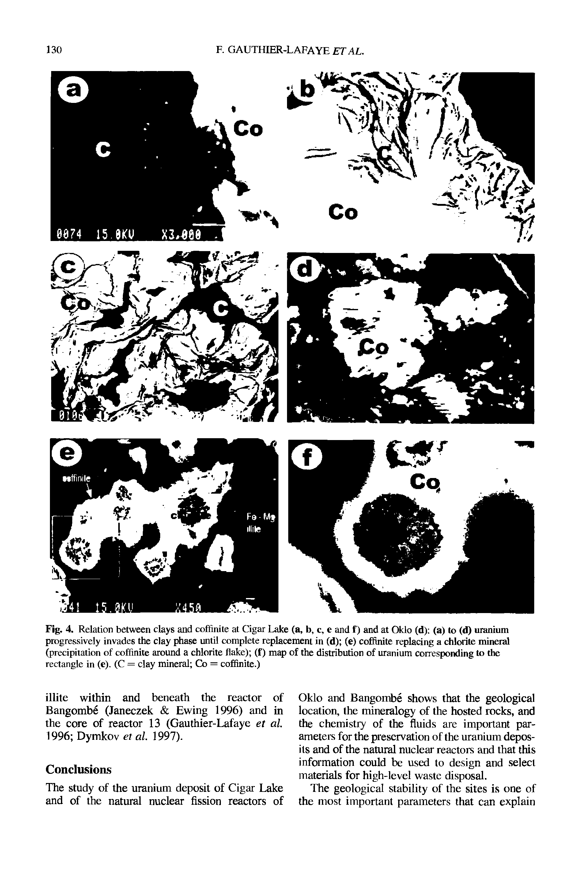 Fig. 4. Relation between clays and coffinite at Cigar Lake (a, b, c, e and f) and at Oklo (d) (a) to (d) uranium progressively invades the clay phase until complete replacement in (d) (e) coffinite replacing a chlorite mineral (precipitation of coffinite around a chlorite flake) (f) map of the distribution of uranium corresponding to the rectangle in (e). (C = clay mineral Co = coffinite.)...