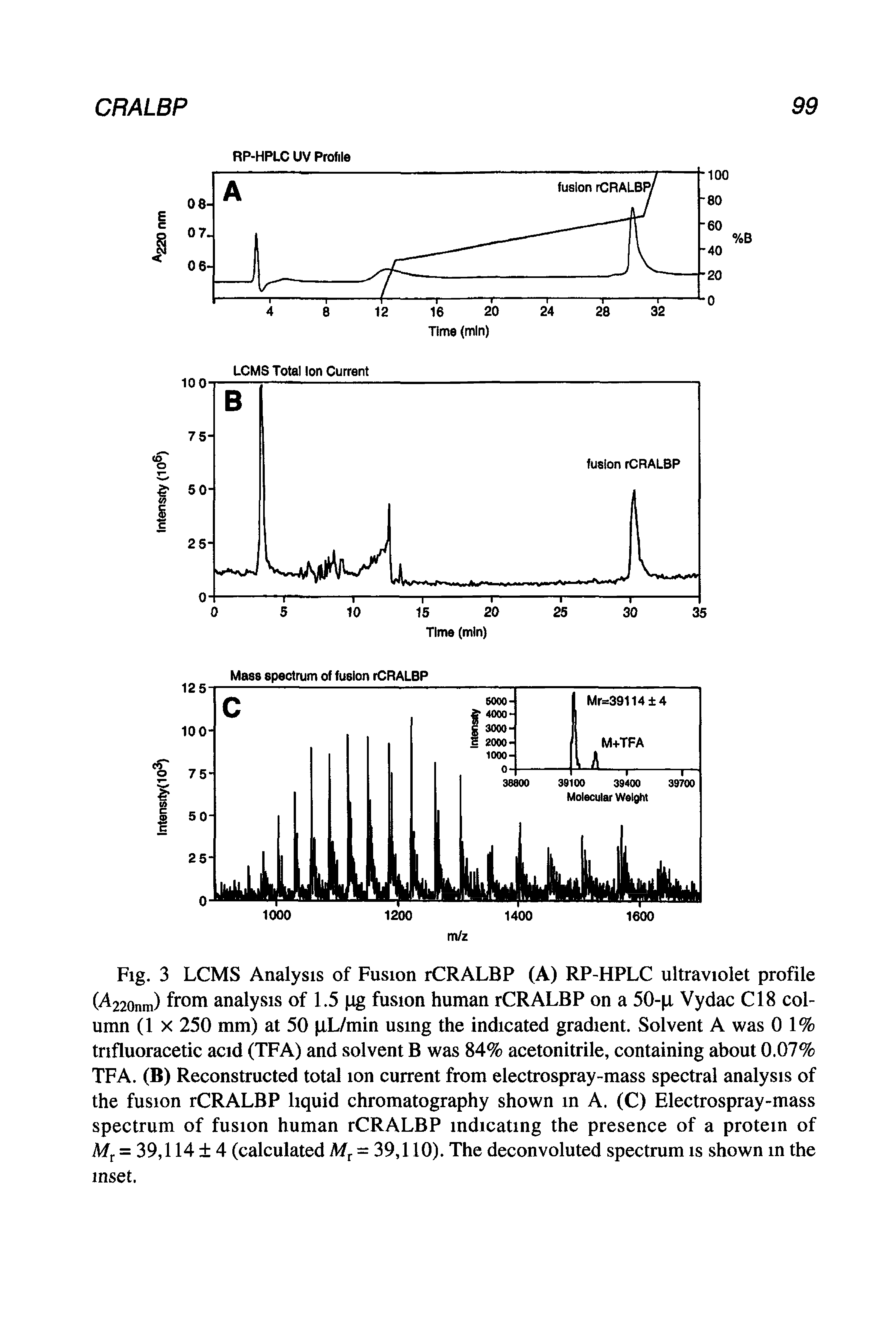 Fig. 3 LCMS Analysis of Fusion rCRALBP (A) RP-HPLC ultraviolet profile ( 220nm) froHi analysis of 1.5 (ig fusion human rCRALBP on a 50- X Vydac C18 column (lx 250 mm) at 50 lL/min usmg the indicated gradient. Solvent A was 0 1% trifluoracetic acid (TFA) and solvent B was 84% acetonitrile, containing about 0.07% TFA. (B) Reconstructed total ion current from electrospray-mass spectral analysis of the fusion rCRALBP liquid chromatography shown in A. (C) Electrospray-mass spectrum of fusion human rCRALBP indicating the presence of a protein of = 39,114 4 (calculated = 39,110). The deconvoluted spectrum is shown in the inset.