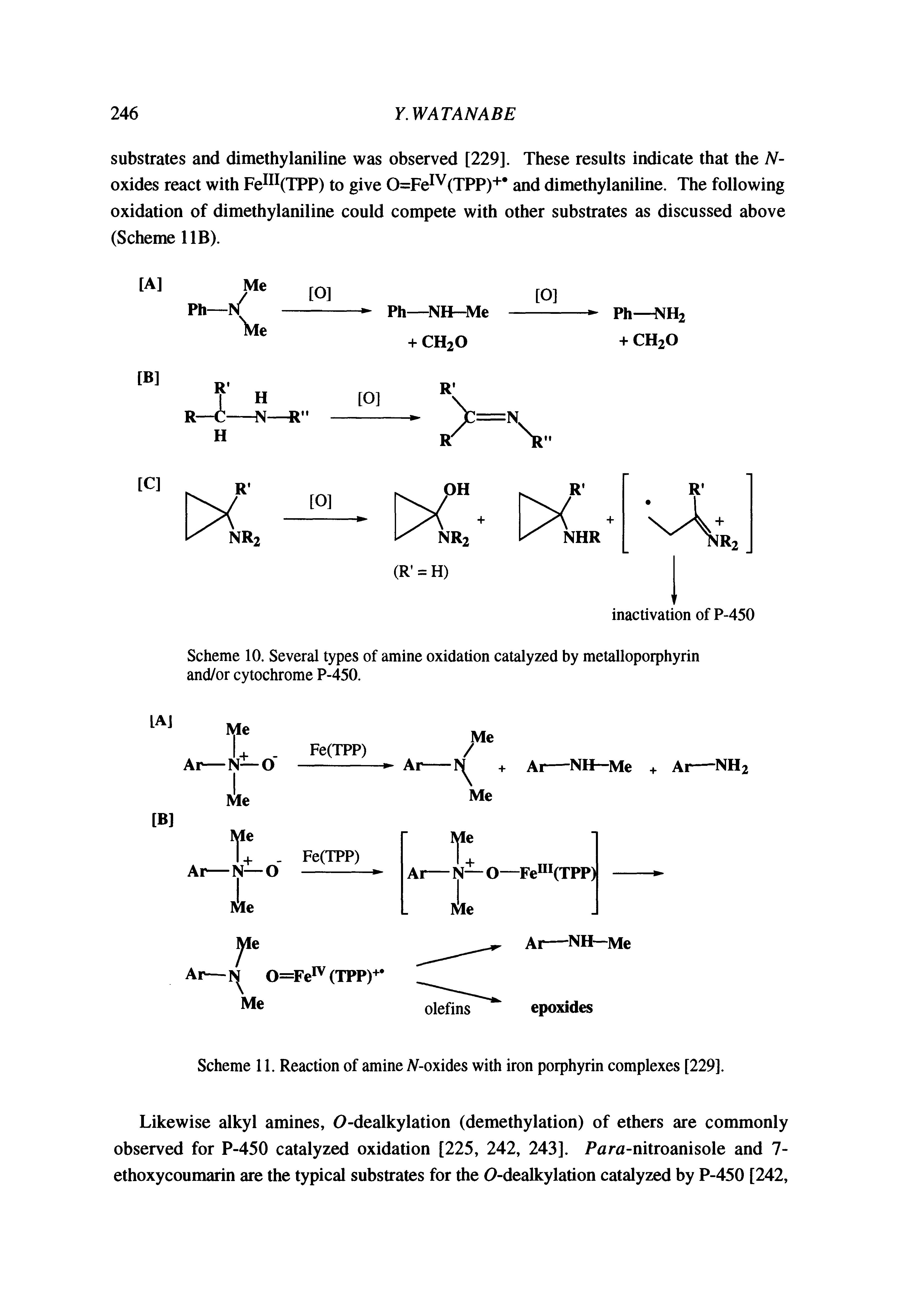 Scheme 11. Reaction of amine N-oxides with iron porphyrin complexes [229].