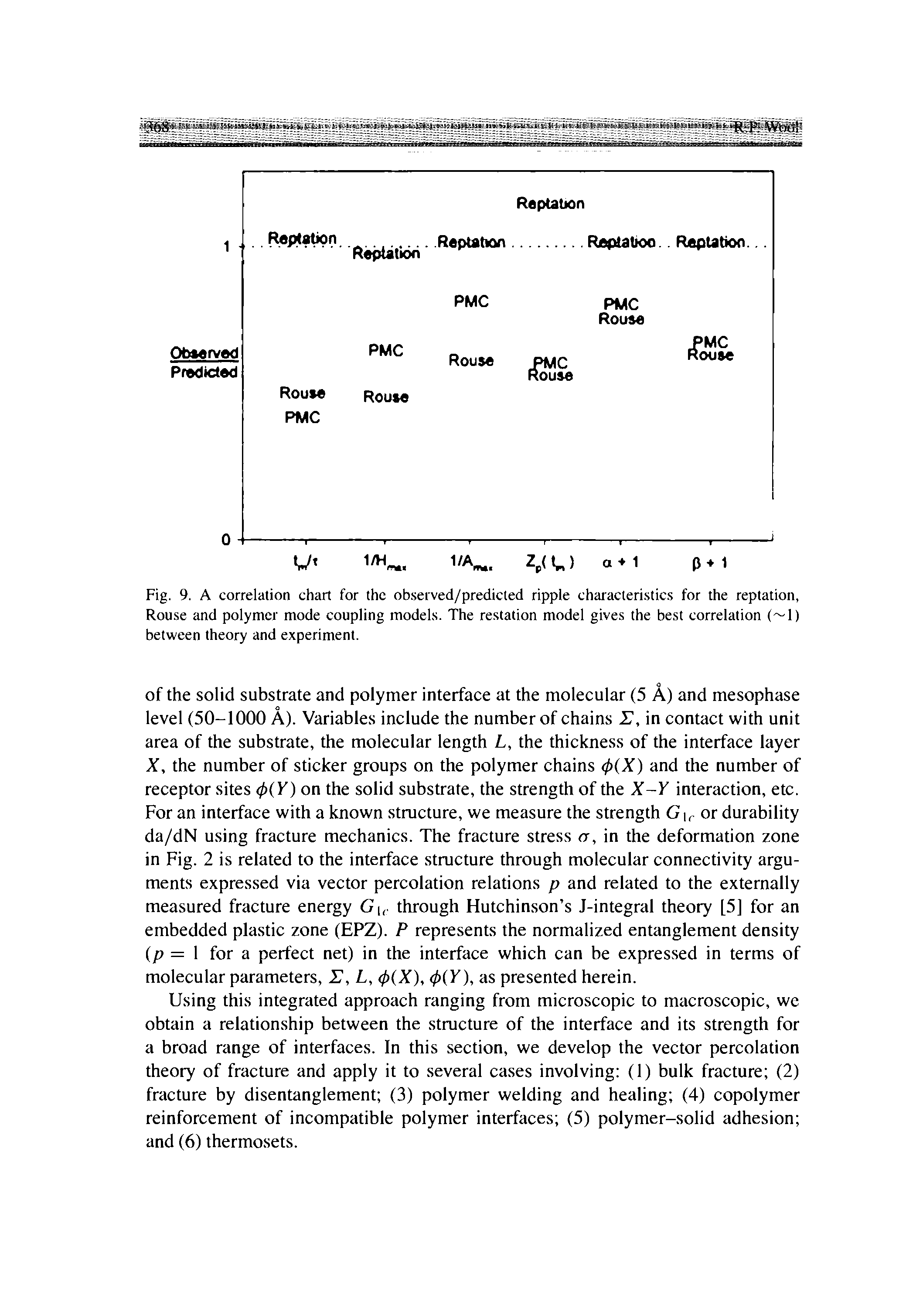 Fig. 9. A correlation chart for the observed/predicted ripple characteristics for the reptation, Rouse and polymer mode coupling models. The restation model gives the best correlation ( 1) between theory and experiment.