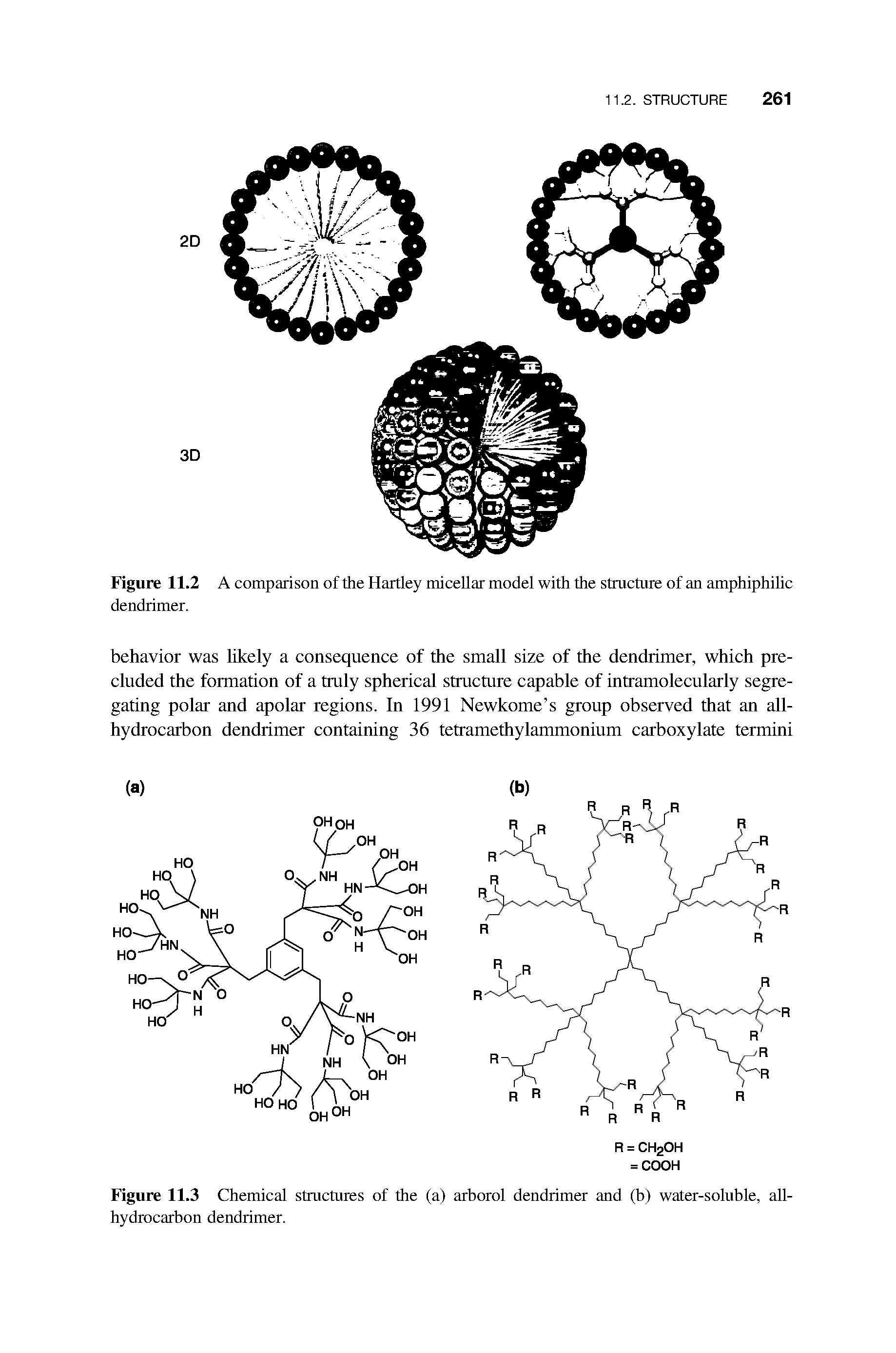 Figure 11.2 A comparison of the Hartley micellar model with the structure of an amphiphilic dendrimer.