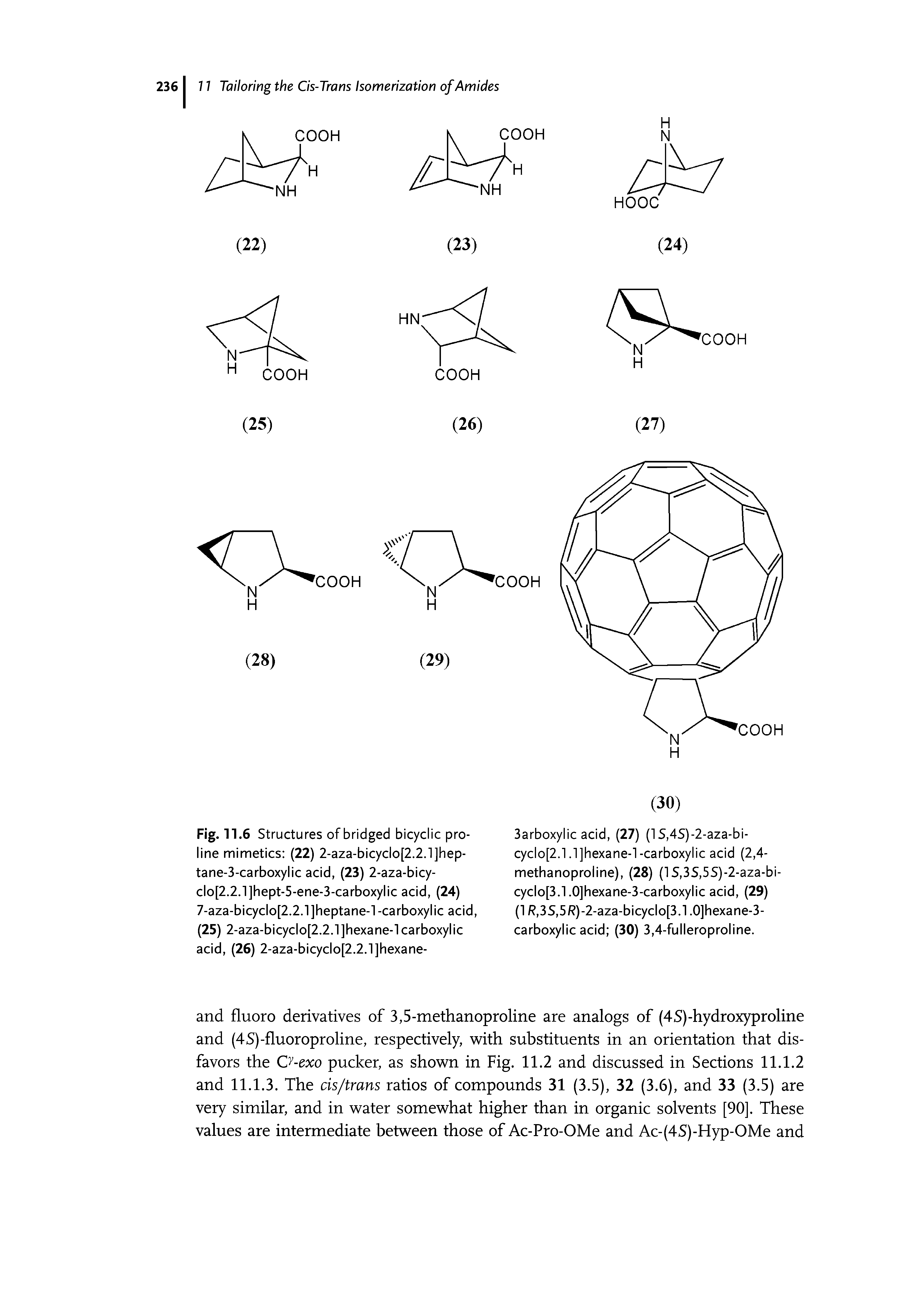 Fig. 11.6 Structures of bridged bicyclic proline mimetics (22) 2-aza-bicyclo[2.2.1]hep-tane-3-carboxylic acid, (23) 2-aza-bicy-clo[2.2.1]hept-5-ene-3-carboxylic acid, (24) 7-aza-bicyclo[2.2.1]heptane-l-carboxylic acid, (25) 2-aza-bicyclo[2.2.1]hexane-l carboxylic acid, (26) 2-aza-bicyclo[2.2.1]hexane-...