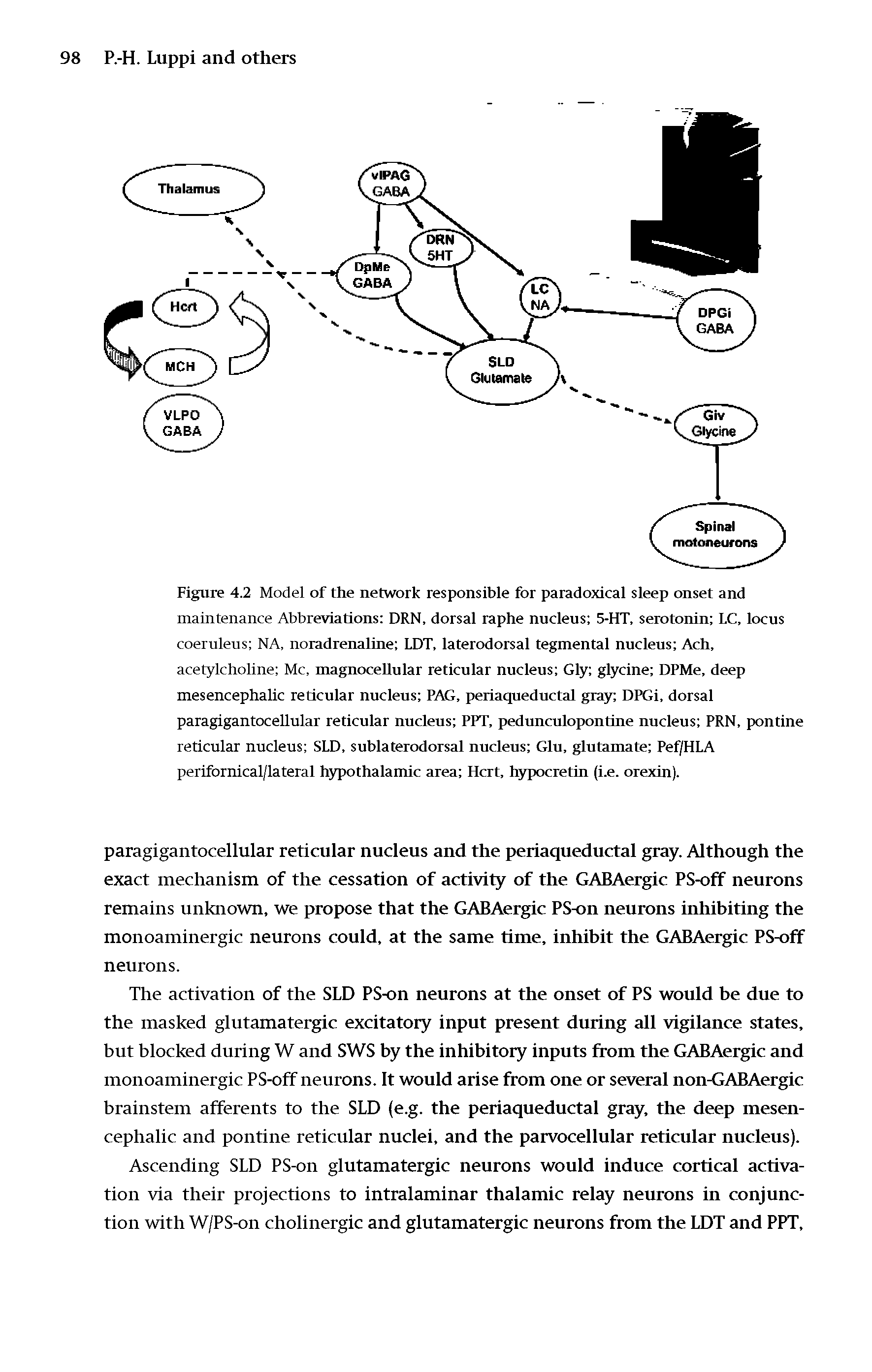 Figure 4.2 Model of the network responsible for paradoxical sleep onset and maintenance Abbreviations DRN, dorsal raphe nucleus 5-HT, serotonin LC, locus coeruleus NA, noradrenaline LDT, laterodorsal tegmental nucleus Ach, acetylcholine Me, magnocellular reticular nucleus Gly glycine DPMe, deep mesencephalic reticular nucleus PAG, periaqueductal gray DPGi, dorsal paragigantocellular reticular nucleus PPT, pedunculopontine nucleus PRN, pontine reticular nucleus SLD, sublaterodorsal nucleus Glu, glutamate Pef/HLA perifornical/lateral hypothalamic area Hcrt, hypocretin (i.e. orexin).