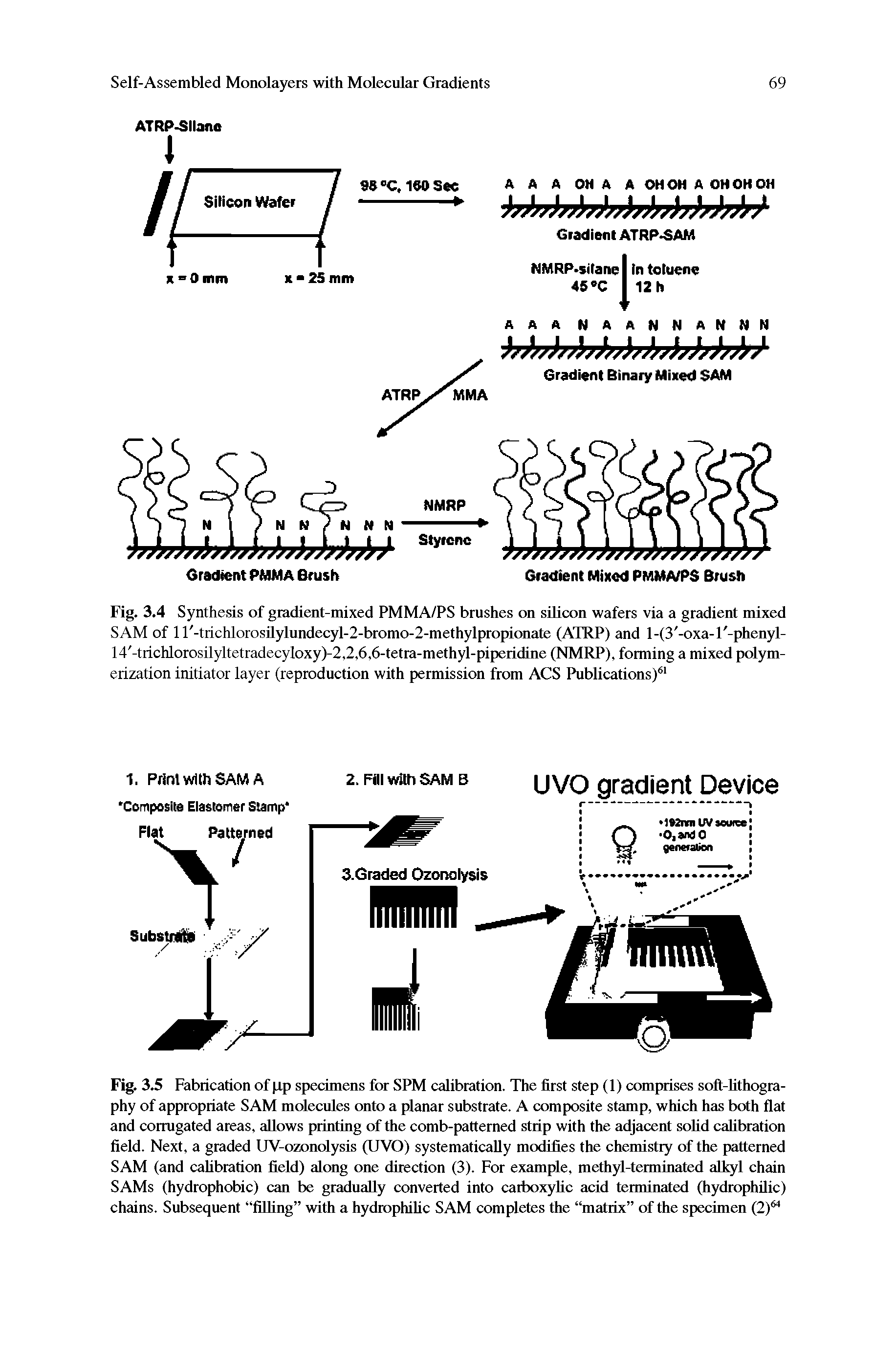 Fig. 3.5 Fabrication of pp specimens for SPM calibration. The first step (1) comprises soft-lithography of appropriate SAM molecules onto a planar substrate. A composite stamp, which has both flat and corrugated areas, allows printing of the comb-patterned strip with the adjacent solid calibration field. Next, a graded UV-ozonolysis (UVO) systematically modifies the chemistry of the patterned SAM (and calibration field) along one direction (3). For example, methyl-terminated alkyl chain SAMs (hydrophobic) can be gradually converted into carboxylic acid terminated (hydrophilic) chains. Subsequent filling with a hydrophilic SAM completes the matrix of the specimen (2fA...