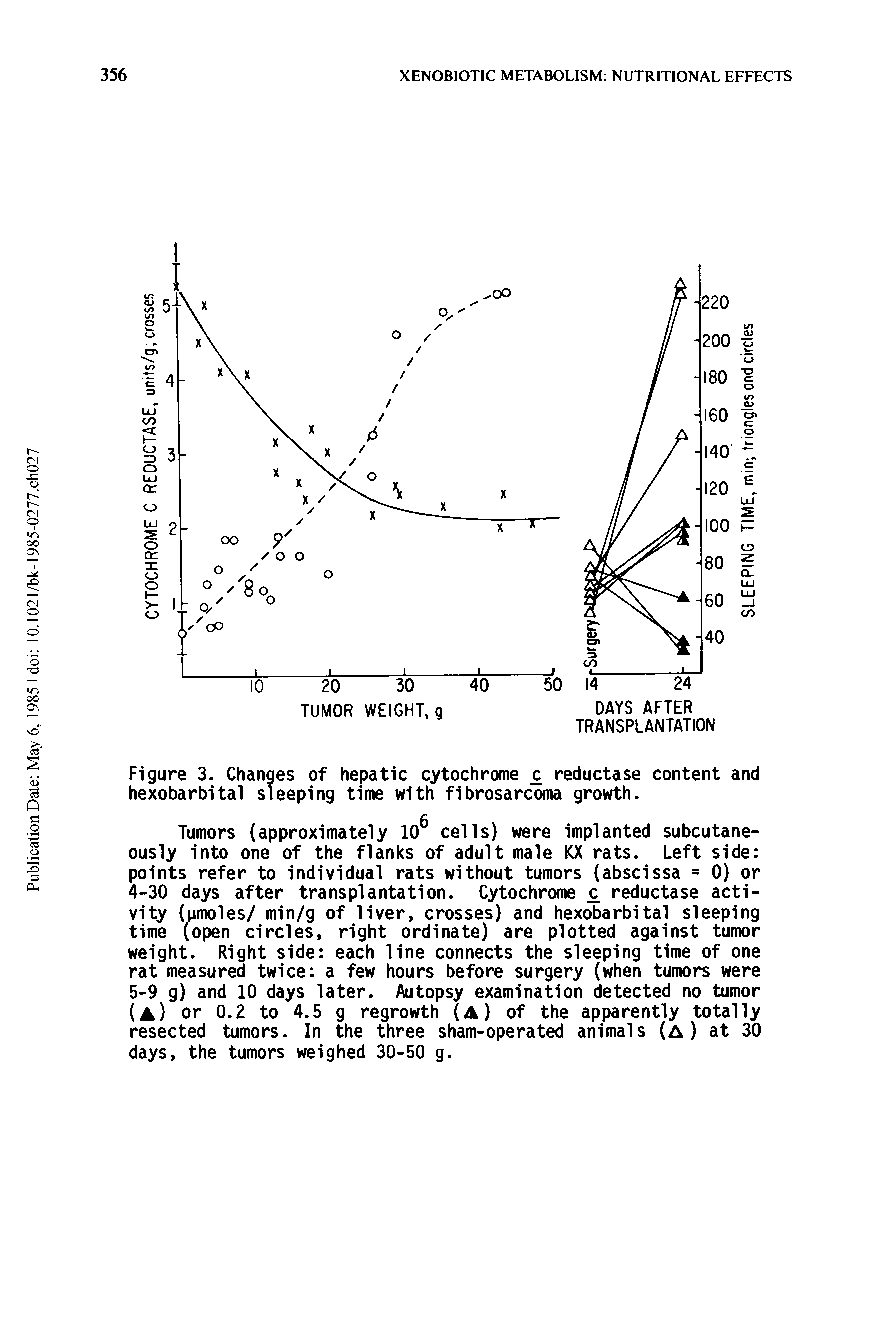 Figure 3. Changes of hepatic cytochrome reductase content and hexobarbital sleeping time with fibrosarcoma growth.