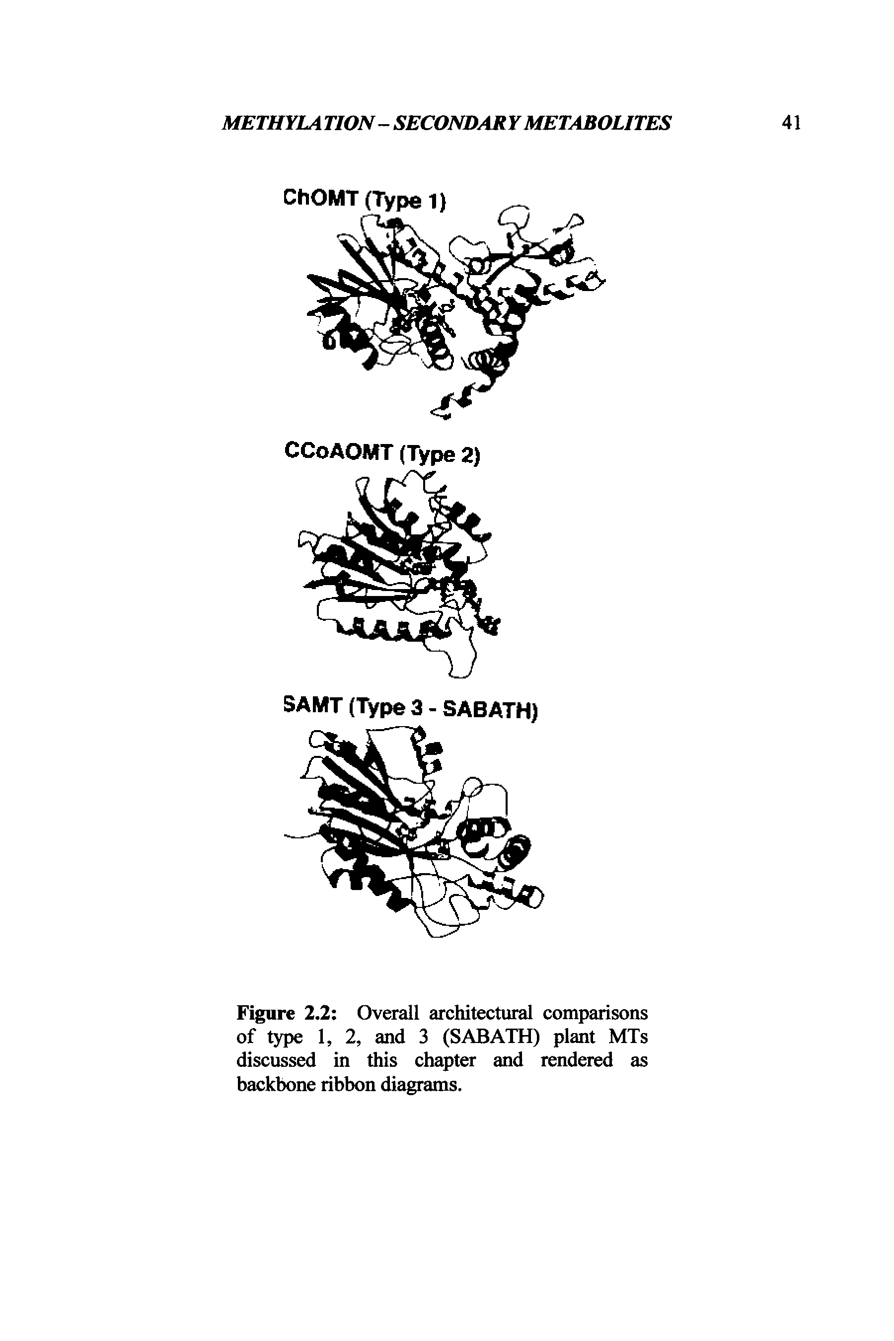 Figure 2.2 Overall architectural comparisons of type 1, 2, and 3 (SABATH) plant MTs discussed in this chapter and rendered as backbone ribbon diagrams.