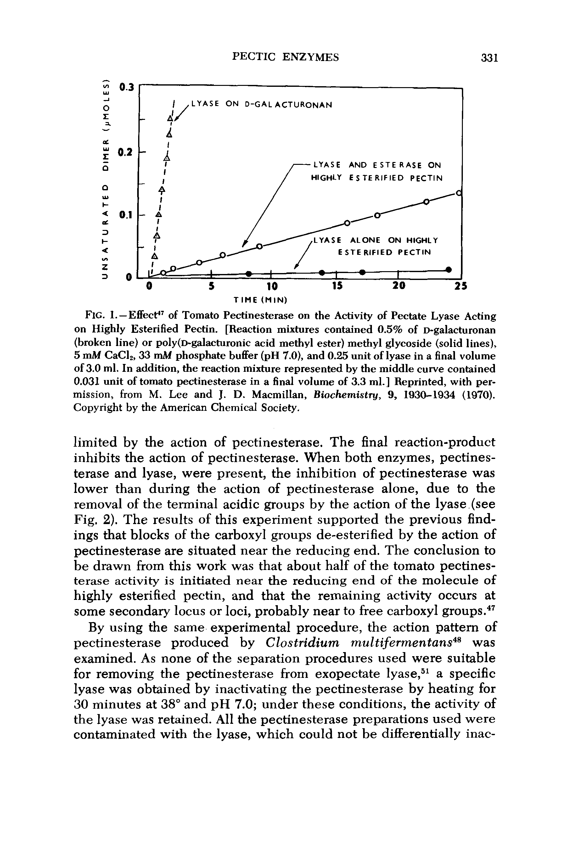 Fig. 1. — Effect47 of Tomato Pectinesterase on the Activity of Pectate Lyase Acting on Highly Esterified Pectin. [Reaction mixtures contained 0.5% of D-galacturonan (broken line) or poly(D-galacturonic acid methyl ester) methyl glycoside (solid lines), 5 mM CaCl2, 33 mM phosphate buflFer (pH 7.0), and 0.25 unit of lyase in a final volume of 3.0 ml. In addition, the reaction mixture represented by the middle curve contained 0.031 unit of tomato pectinesterase in a final volume of 3.3 ml.] Reprinted, with permission, from M. Lee and J. D. Macmillan, Biochemistry, 9, 1930-1934 (1970). Copyright by the American Chemical Society.