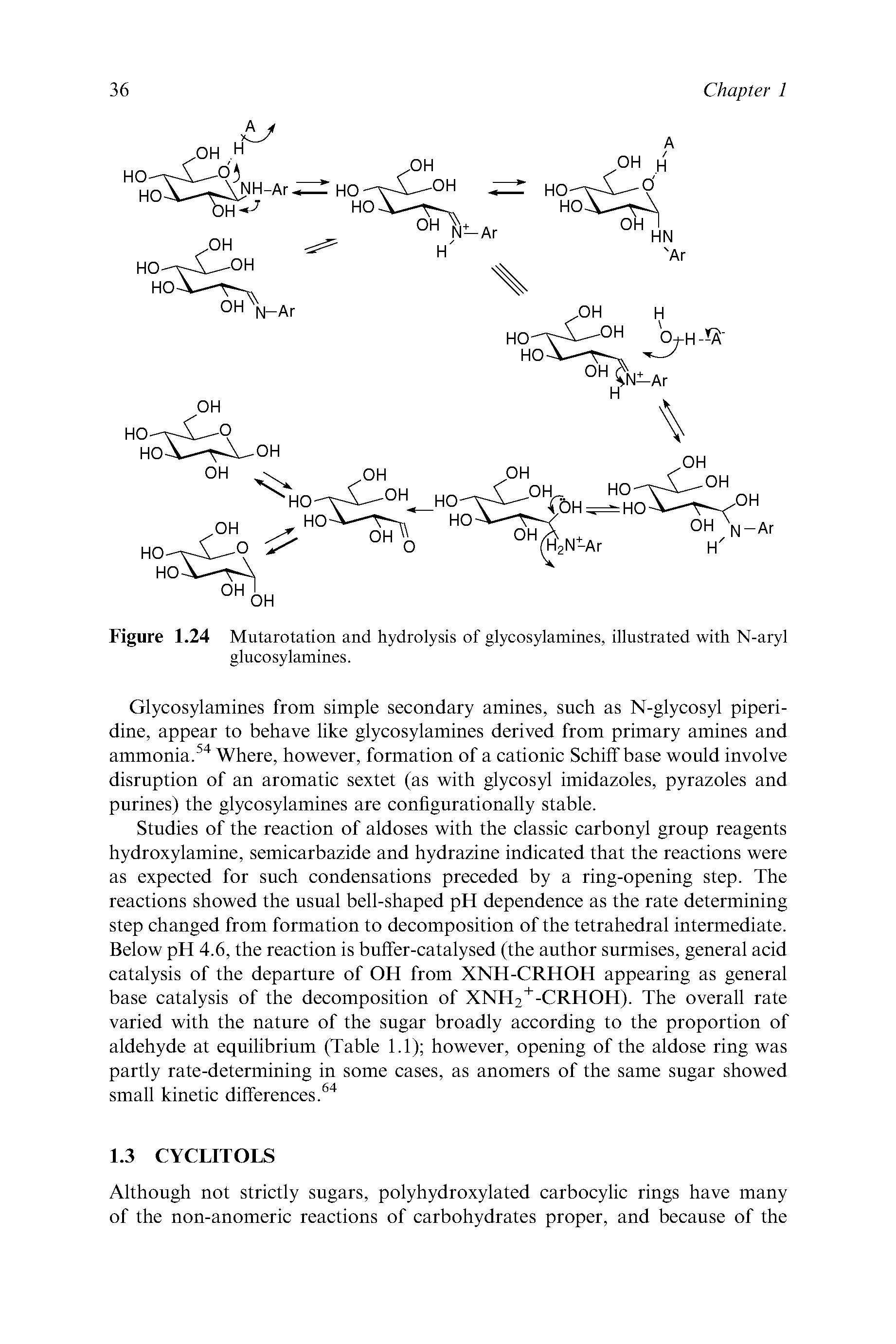 Figure 1.24 Mutarotation and hydrolysis of glycosylamines, illustrated with N-aryl glucosylamines.