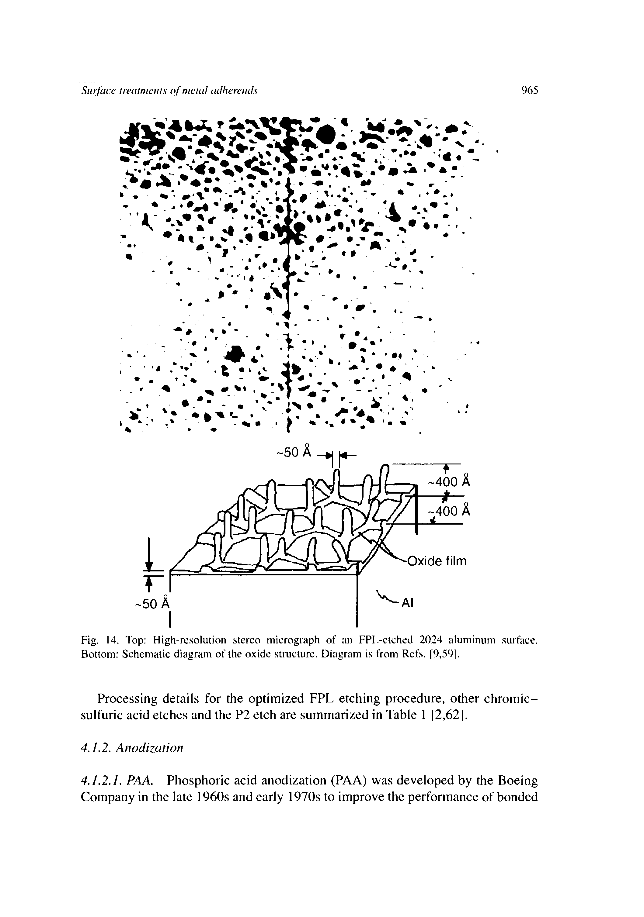 Fig. 14. Top High-resolution stereo micrograph of an FPL-etched 2024 aluminum surface. Bottom Schematic diagram of the oxide stmcture. Diagram is from Refs. [9,59].