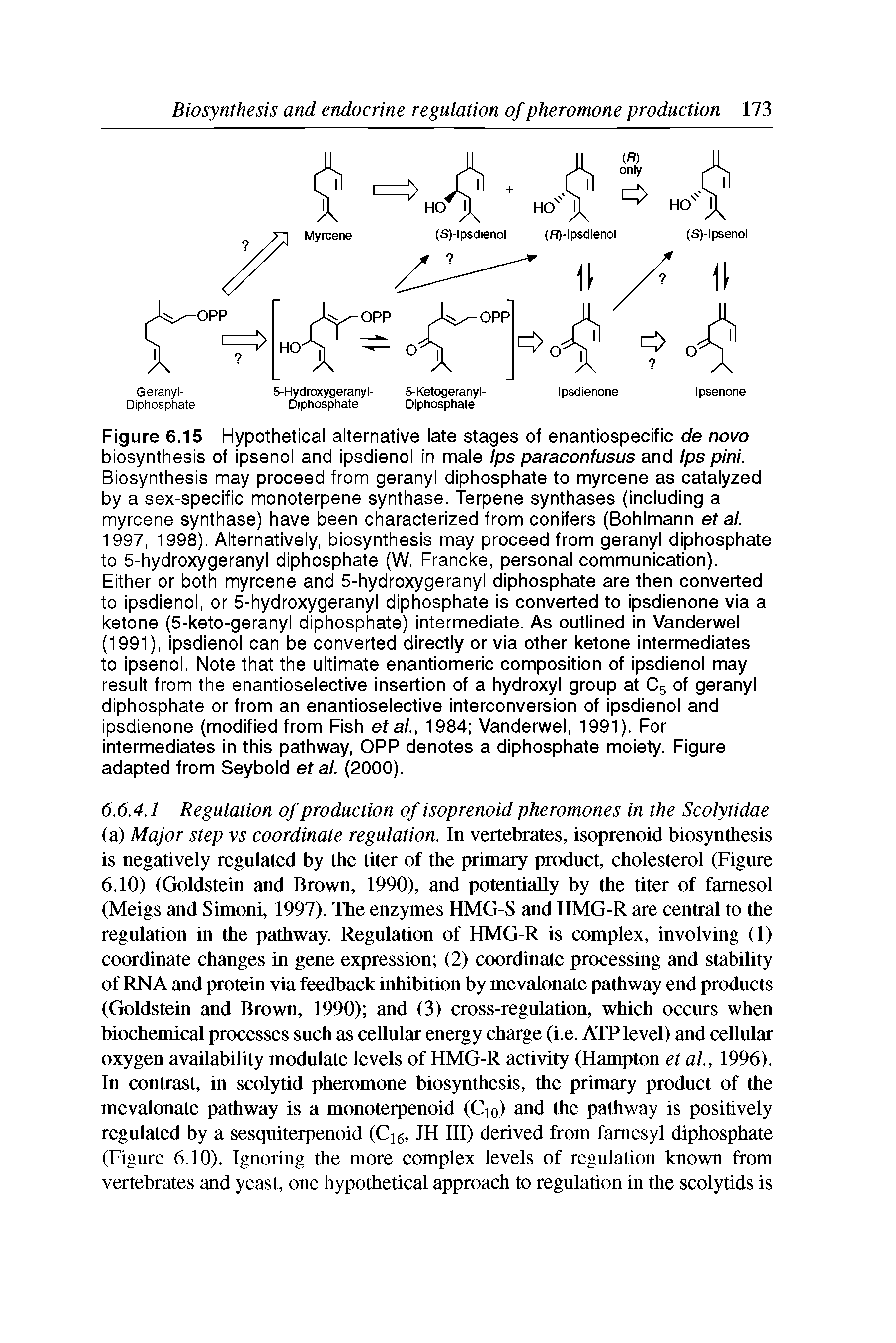 Figure 6.15 Hypothetical alternative late stages of enantiospecific de novo biosynthesis of ipsenol and ipsdienol in male Ips paraconfusus and Ips pini. Biosynthesis may proceed from geranyl diphosphate to myrcene as catalyzed by a sex-specific monoterpene synthase. Terpene synthases (including a myrcene synthase) have been characterized from conifers (Bohlmann et al. 1997, 1998). Alternatively, biosynthesis may proceed from geranyl diphosphate to 5-hydroxygeranyl diphosphate (W. Francke, personal communication).