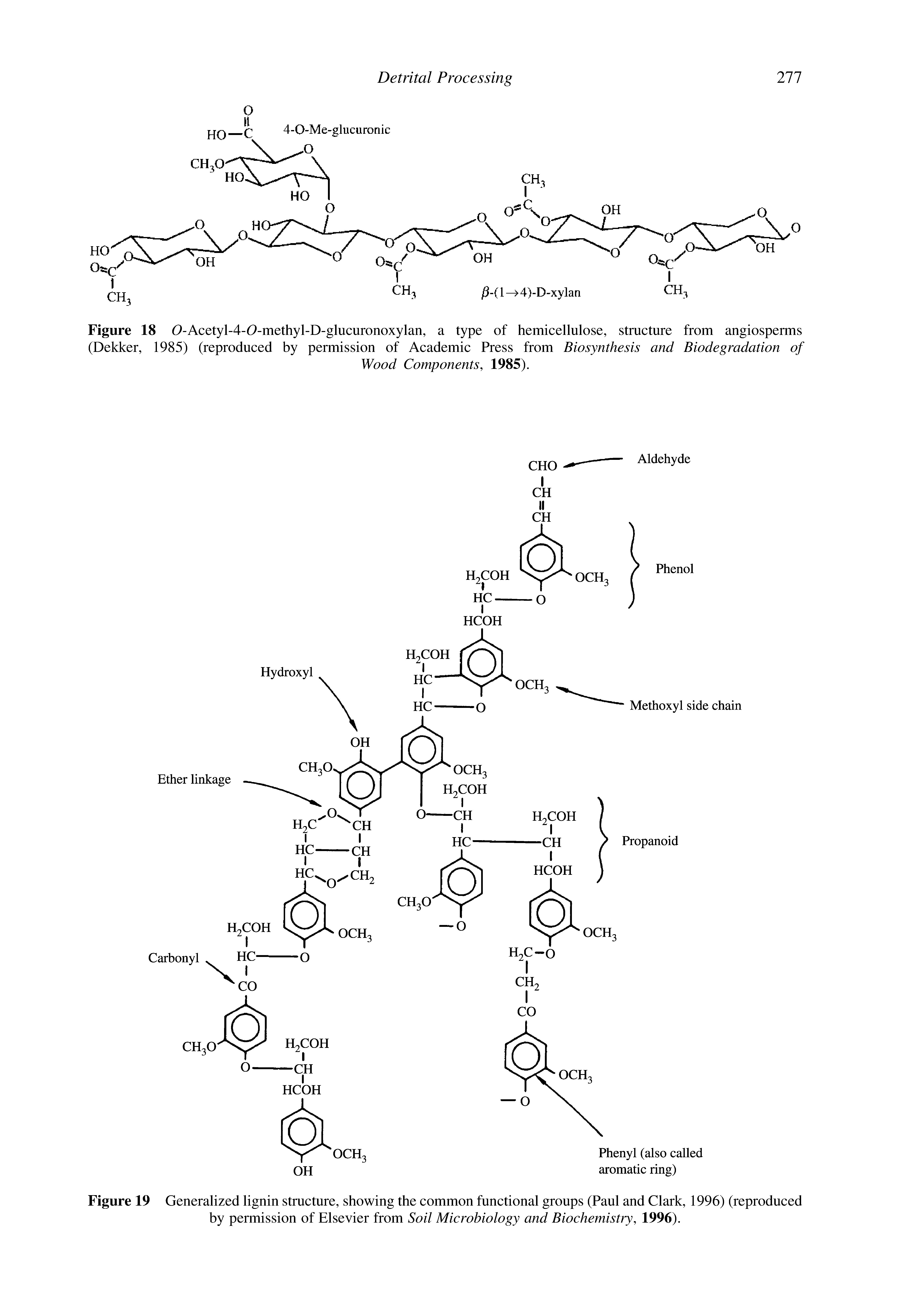 Figure 18 O-Acetyl-4-O-methyl-D-glucuronoxylan, a type of hemicellulose, structure from angiosperms (Dekker, 1985) (reproduced by permission of Academic Press from Biosynthesis and Biodegradation of...
