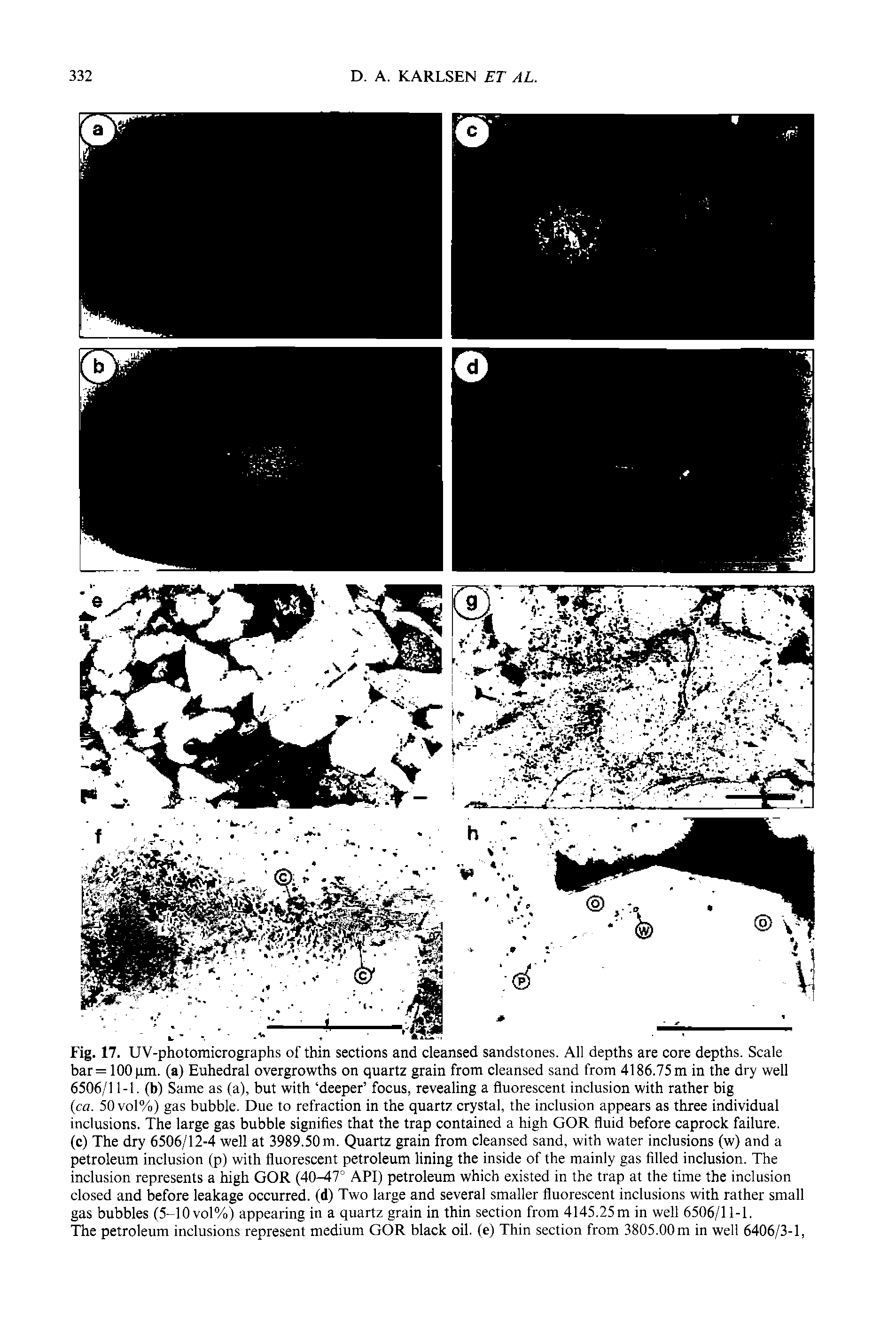Fig. 17. UV-photomicrographs of thin sections and cleansed sandstones. All depths are core depths. Scale bar = 100 pm. (a) Euhedral overgrowths on quartz grain from cleansed sand from 4186.75 m in the dry well 6506/11-1. (b) Same as (a), but with deeper focus, revealing a fluorescent inclusion with rather big ca. 50 vol%) gas bubble. Due to refraction in the quartz crystal, the inclusion appears as three individual inclusions. The large gas bubble signifies that the trap contained a high GOR fluid before caprock failure.