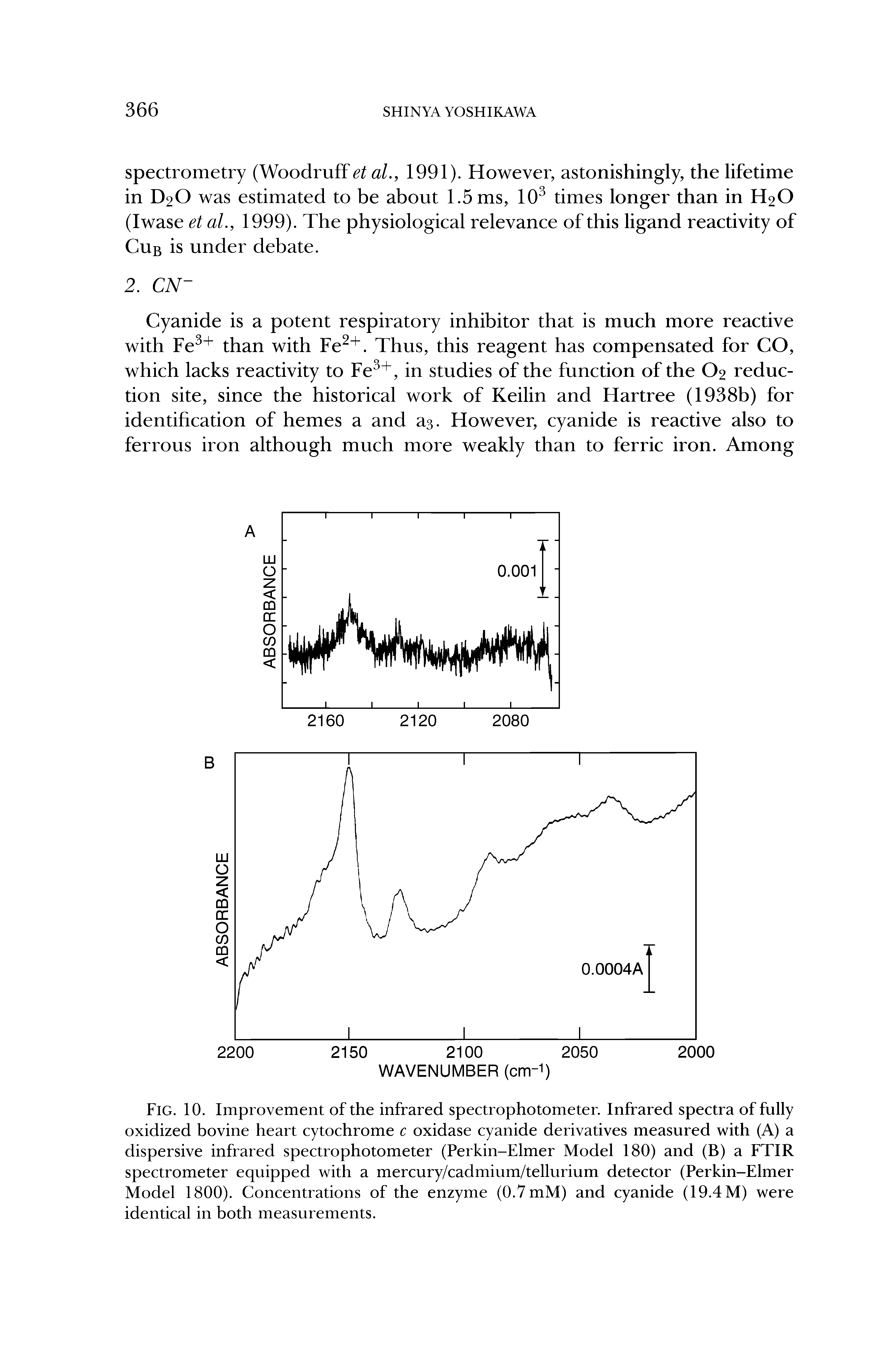 Fig. 10. Improvement of the infrared spectrophotometer. Infrared spectra of fully oxidized bovine heart cytochrome c oxidase cyanide derivatives measured with (A) a dispersive infrared spectrophotometer (Perkin-Elmer Model 180) and (B) a FTIR spectrometer equipped with a mercury/cadmium/tellurium detector (Perkin-Elmer Model 1800). Concentrations of the enzyme (O.VmM) and cyanide (19.4 M) were identical in both measurements.