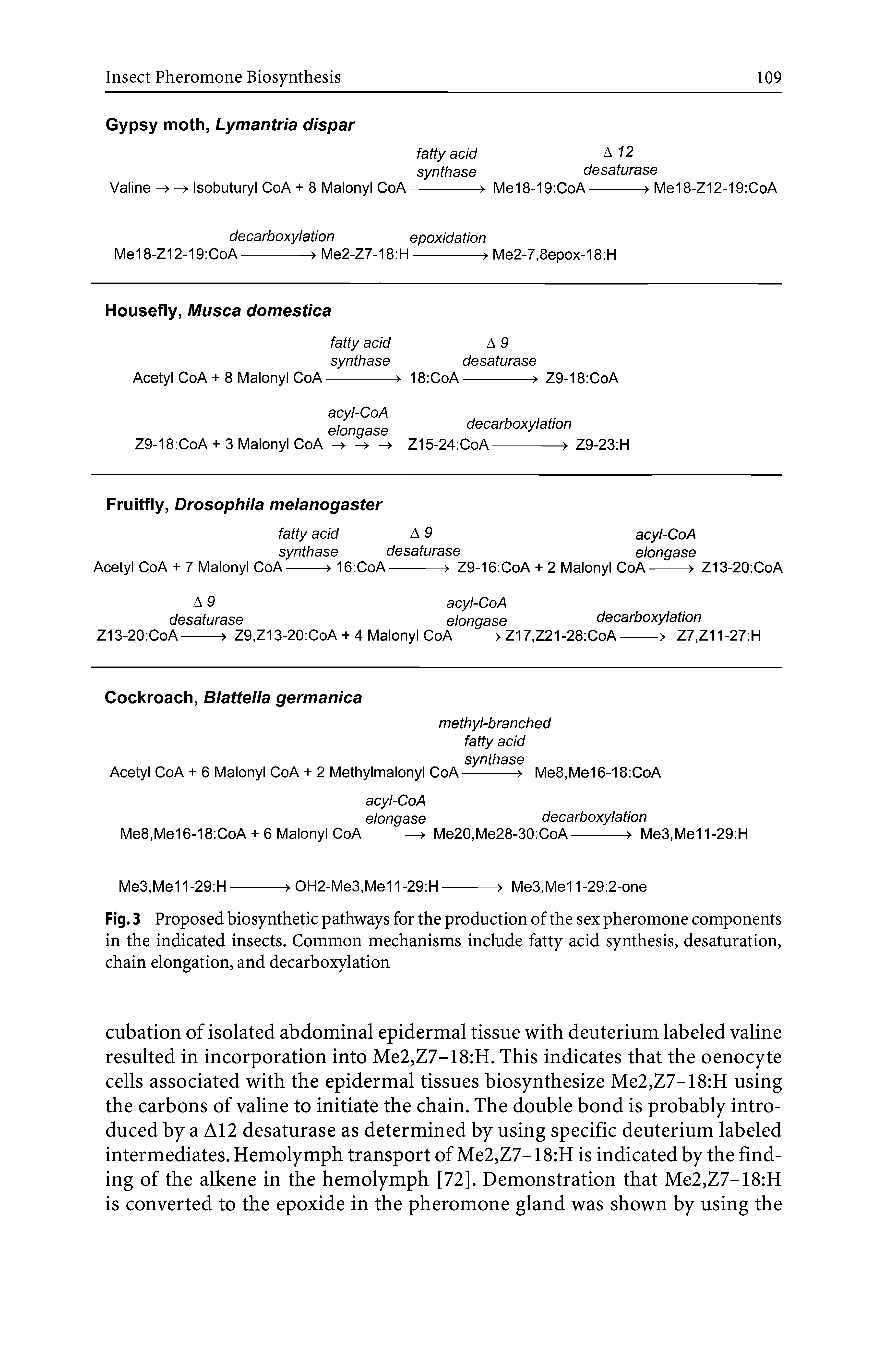 Fig. 3 Proposed biosynthetic pathways for the production of the sex pheromone components in the indicated insects. Common mechanisms include fatty acid synthesis, desaturation, chain elongation, and decarboxylation...