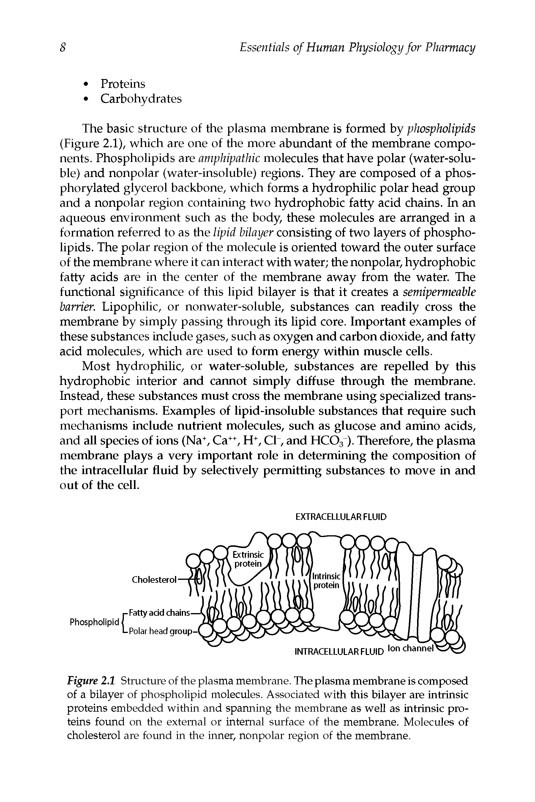 Figure 2.1 Structure of the plasma membrane. The plasma membrane is composed of a bilayer of phospholipid molecules. Associated with this bilayer are intrinsic proteins embedded within and spanning the membrane as well as intrinsic proteins found on the external or internal surface of the membrane. Molecules of cholesterol are found in the inner, nonpolar region of the membrane.