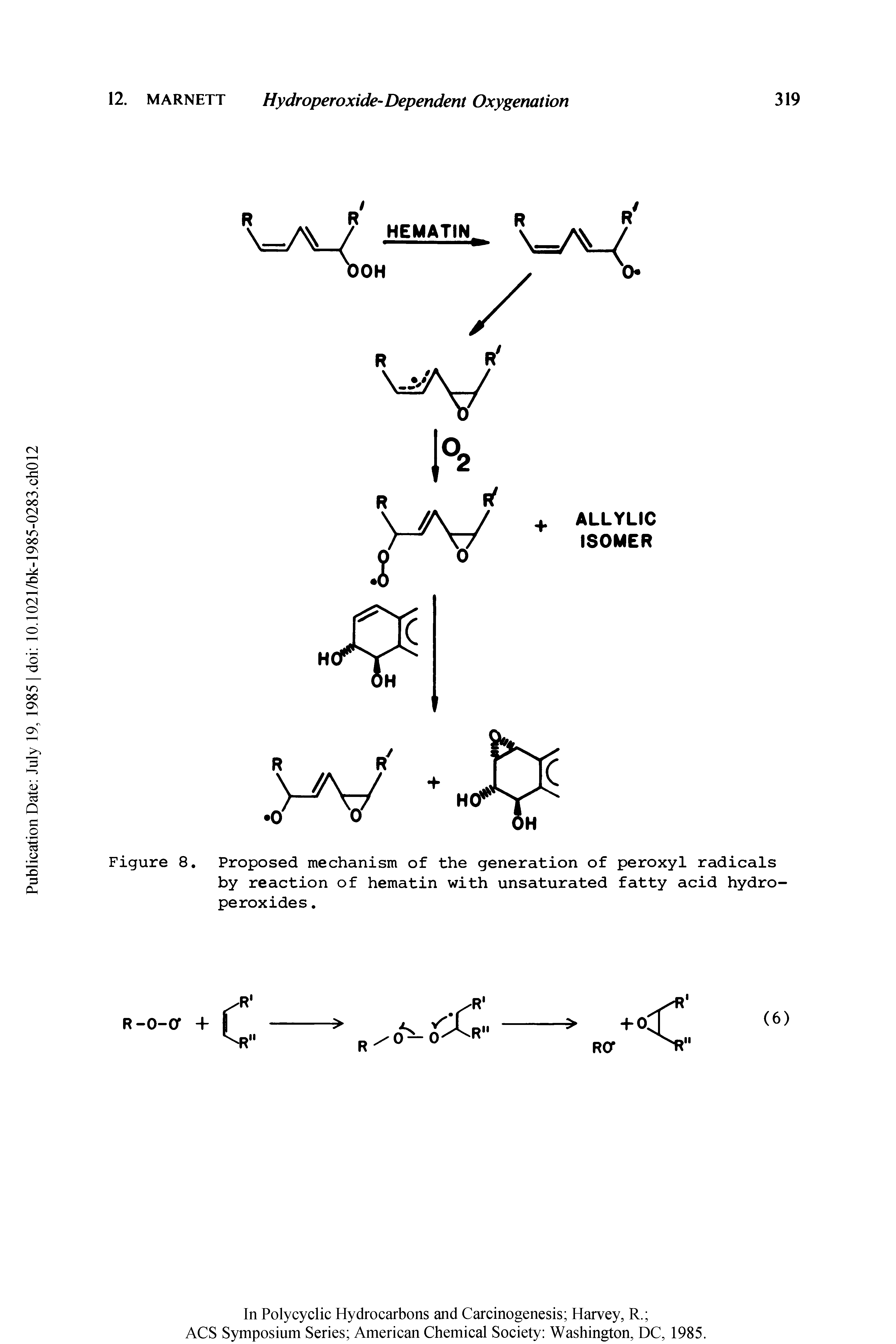 Figure 8. Proposed mechanism of the generation of peroxyl radicals by reaction of hematin with unsaturated fatty acid hydroperoxides. ...