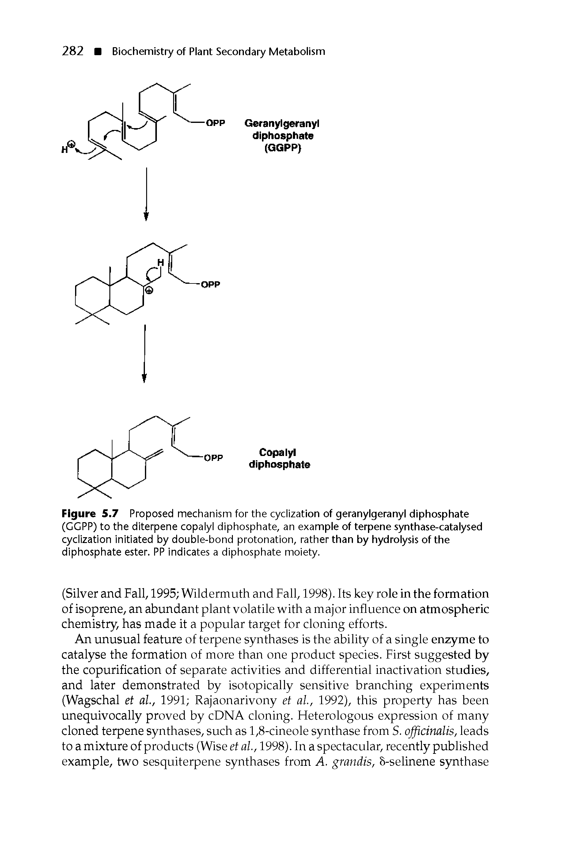Figure 5.7 Proposed mechanism for the cyclization of geranylgeranyl diphosphate (GGPP) to the diterpene copalyl diphosphate, an example of terpene synthase-catalysed cyclization initiated by double-bond protonation, rather than by hydrolysis of the diphosphate ester. PP indicates a diphosphate moiety.