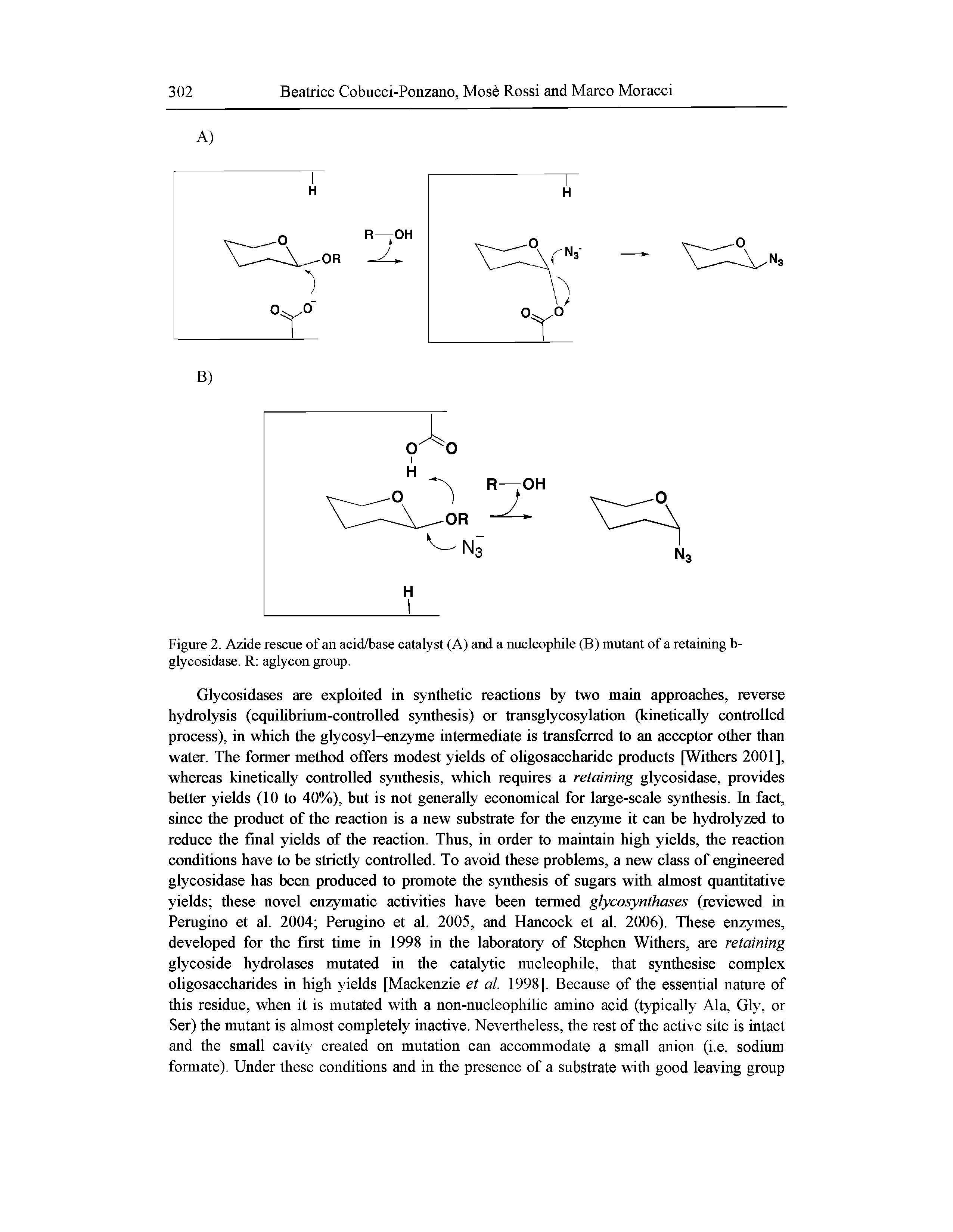 Figure 2. Azide rescue of an acid/base catalyst (A) and a nucleophile (B) mutant of a retaining b-glycosidase. R aglycon group.