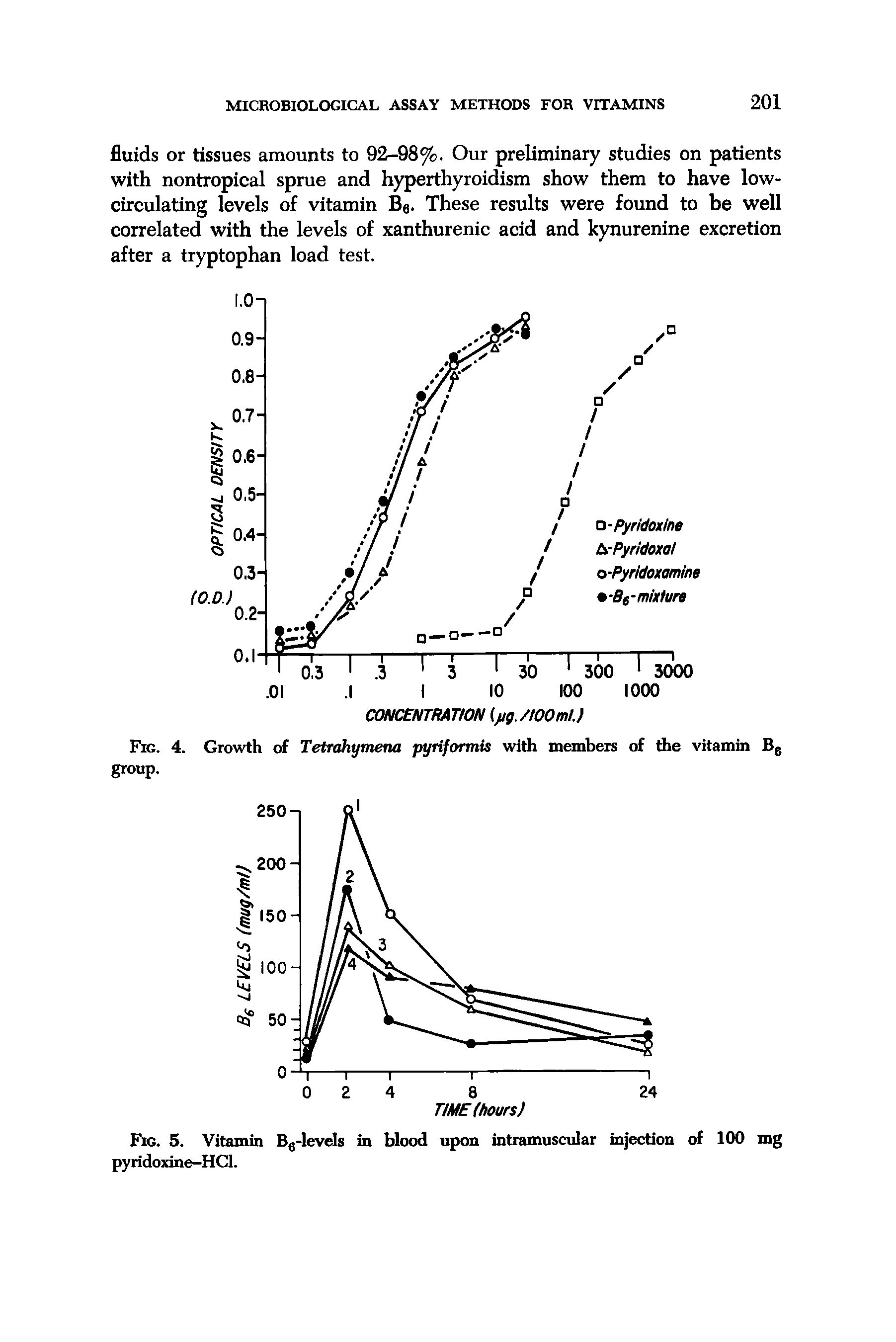 Fig. 5. Vitamin Ba-levels in blood upon intramuscular injection of 100 mg pyridoxine-HCl.