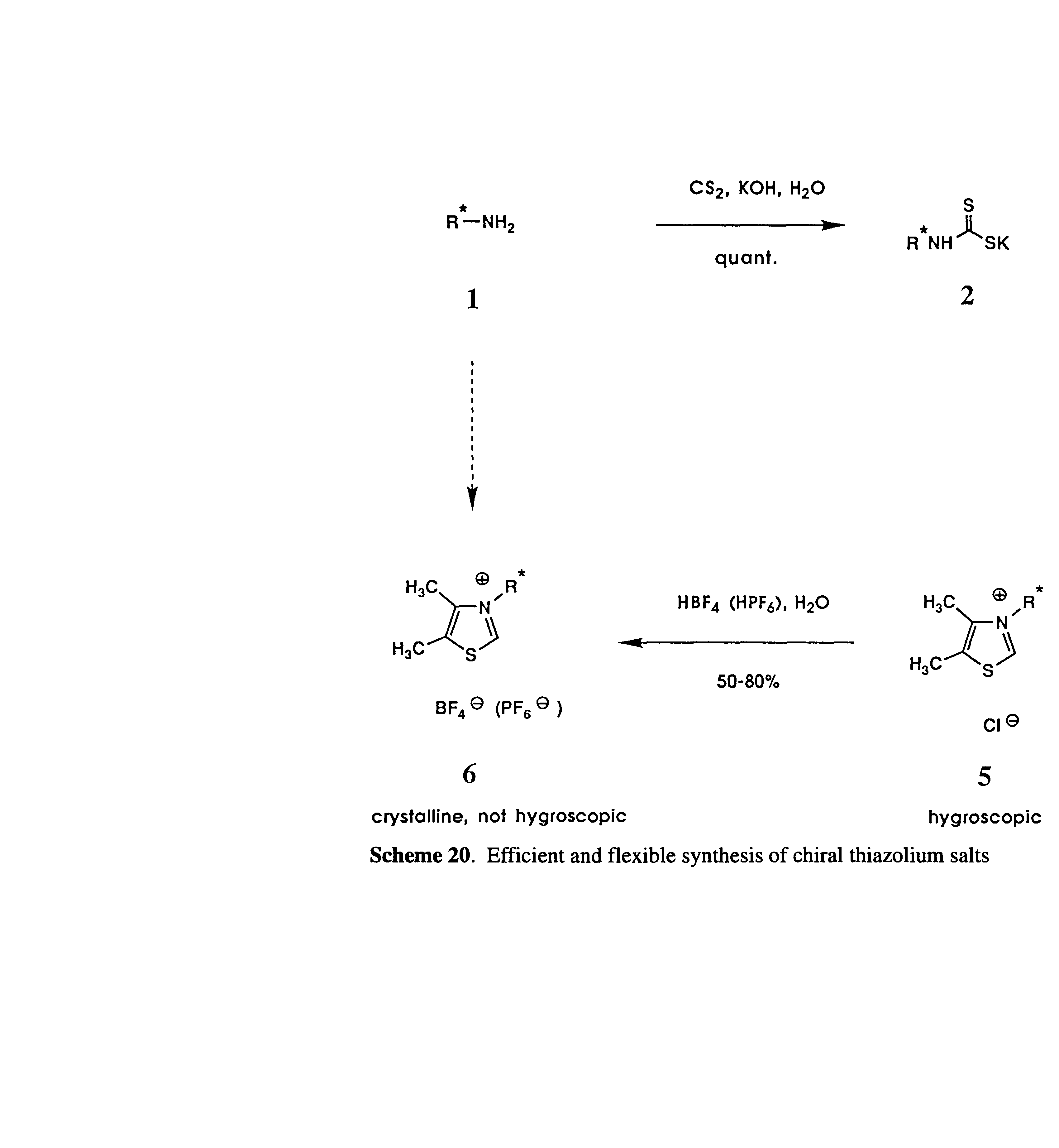 Scheme 20. Efficient and flexible synthesis of chiral thiazolium salts...