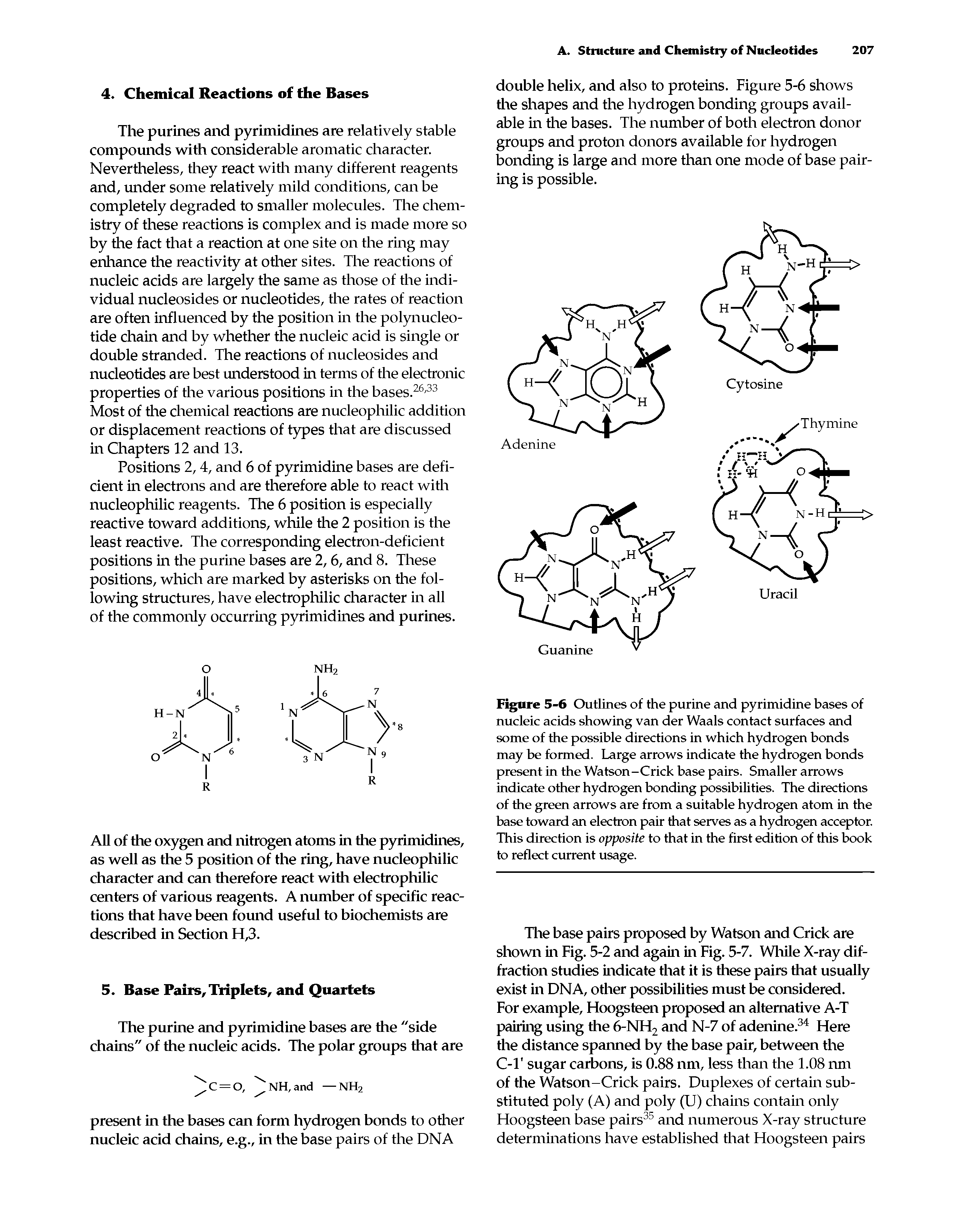 Figure 5-6 Outlines of the purine and pyrimidine bases of nucleic acids showing van der Waals contact surfaces and some of the possible directions in which hydrogen bonds may be formed. Large arrows indicate the hydrogen bonds present in the Watson-Crick base pairs. Smaller arrows indicate other hydrogen bonding possibilities. The directions of the green arrows are from a suitable hydrogen atom in the base toward an electron pair that serves as a hydrogen acceptor. This direction is opposite to that in the first edition of this book to reflect current usage.