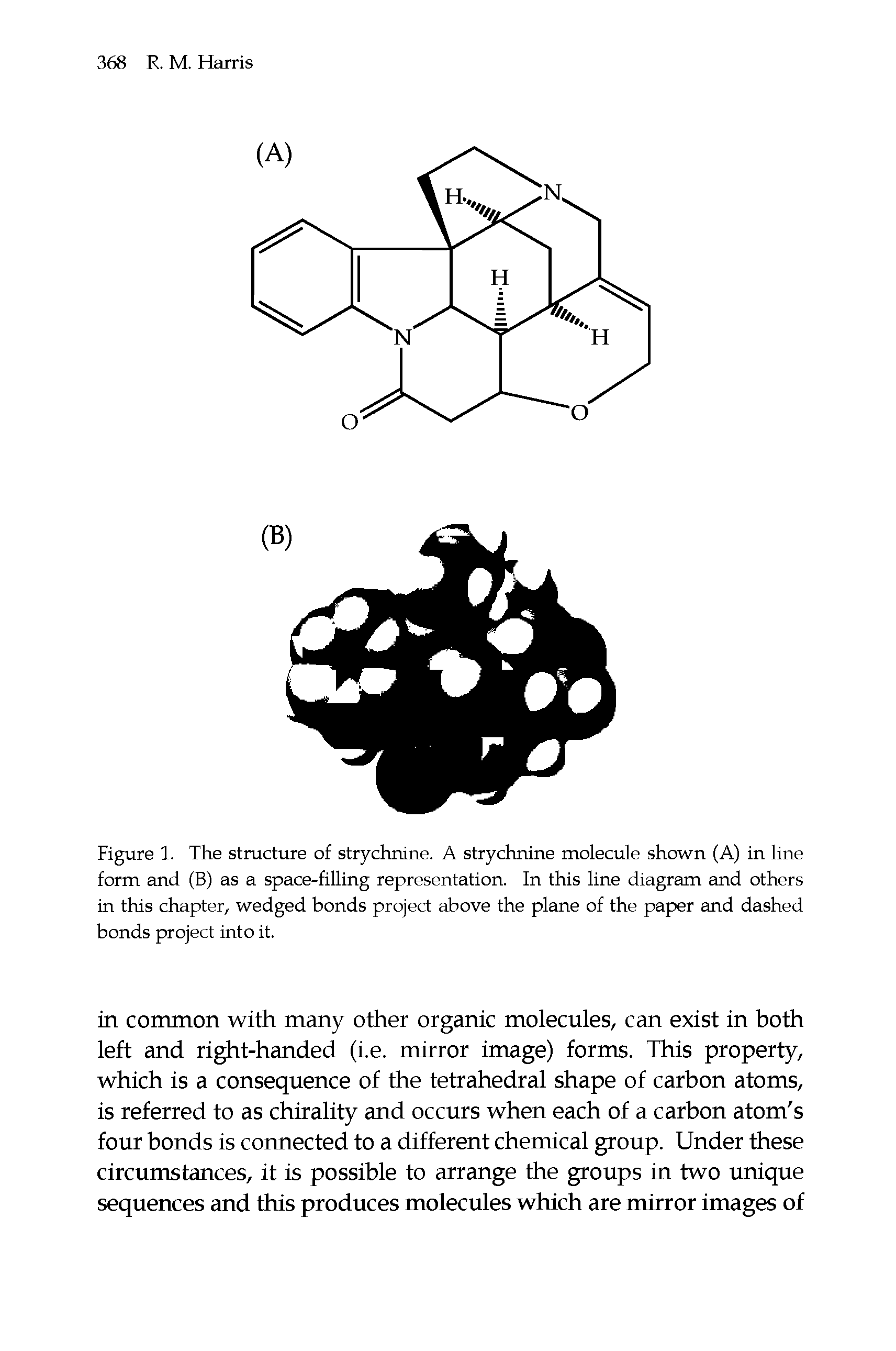 Figure 1. The structure of strychnine. A strychnine molecule shown (A) in line form and (B) as a space-filling representation. In this line diagram and others in this chapter, wedged bonds project above the plane of the paper and dashed bonds project into it.