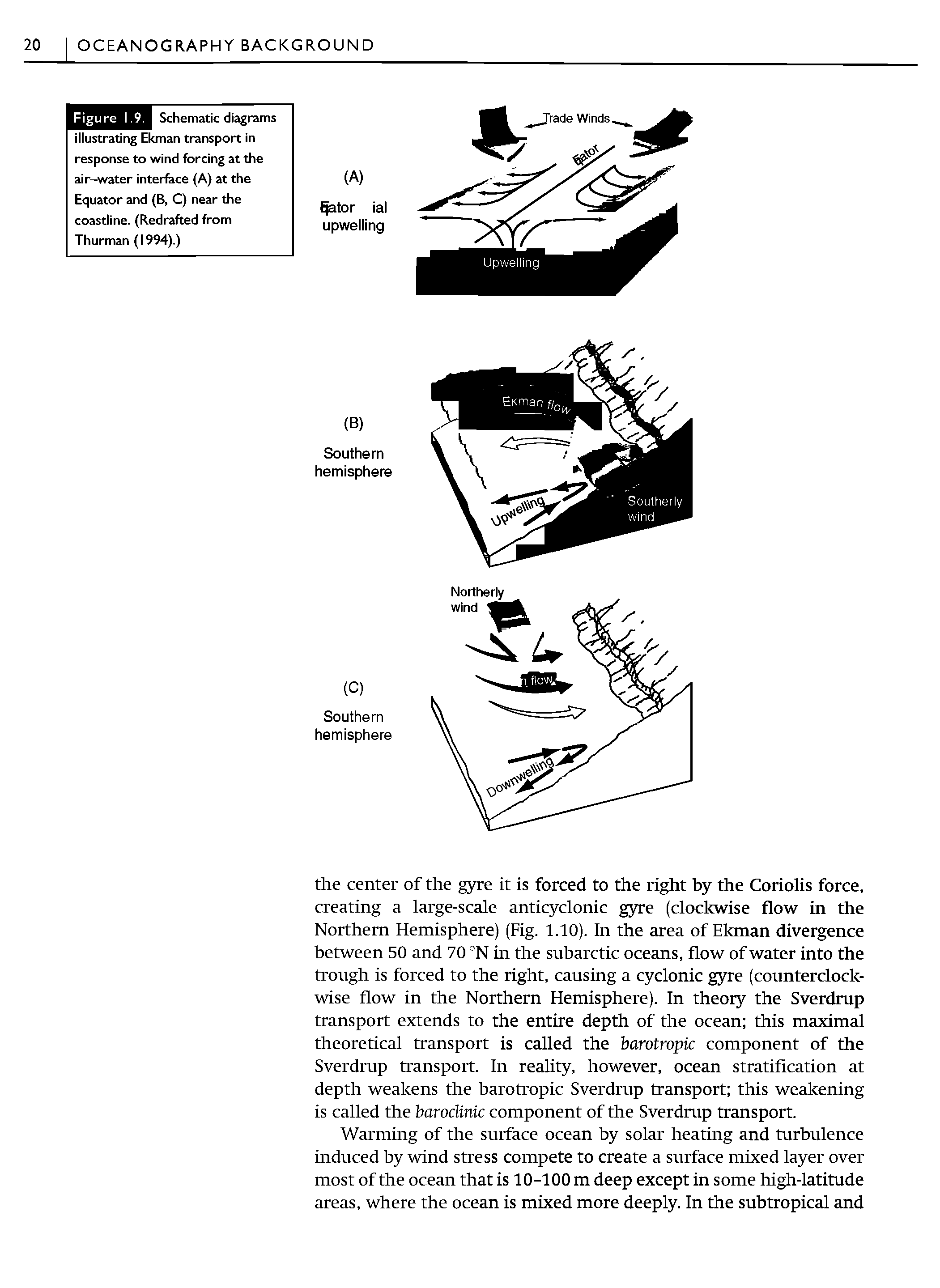 Schematic diagrams illustrating Ekman transport in response to wind forcing at the air—water interface (A) at the Equator and (B, C) near the coastline. (Redrafted from Thurman (1994).)...