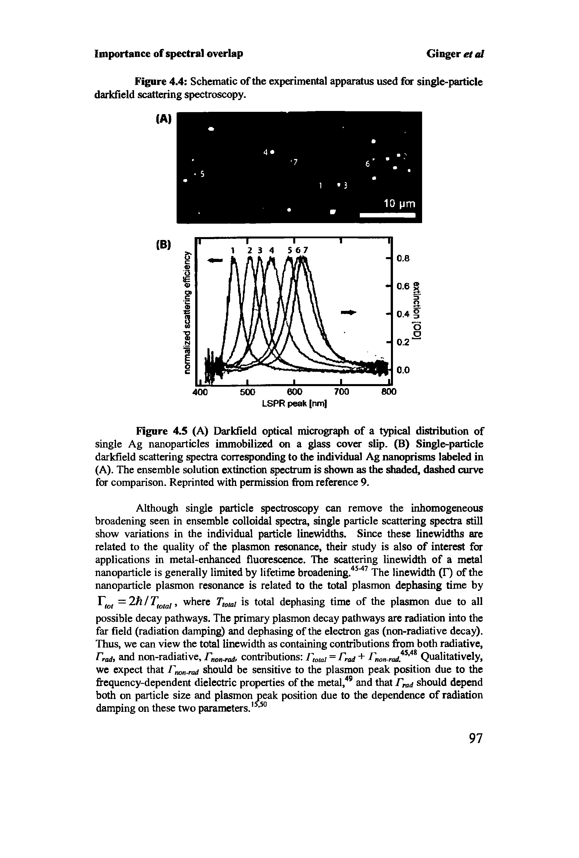 Figure 4.5 (A) Darkfield optical micrograph of a typical distribution of single Ag nanoparticles immobilized on a glass cover slip. (B) Single-particle darkfield scattering spectra corresponding to the individual Ag nanoprisms labeled in (A). The ensemble solution extinction spectrum is shown as the shaded, dashed curve for comparison. Reprinted with permission from reference 9.